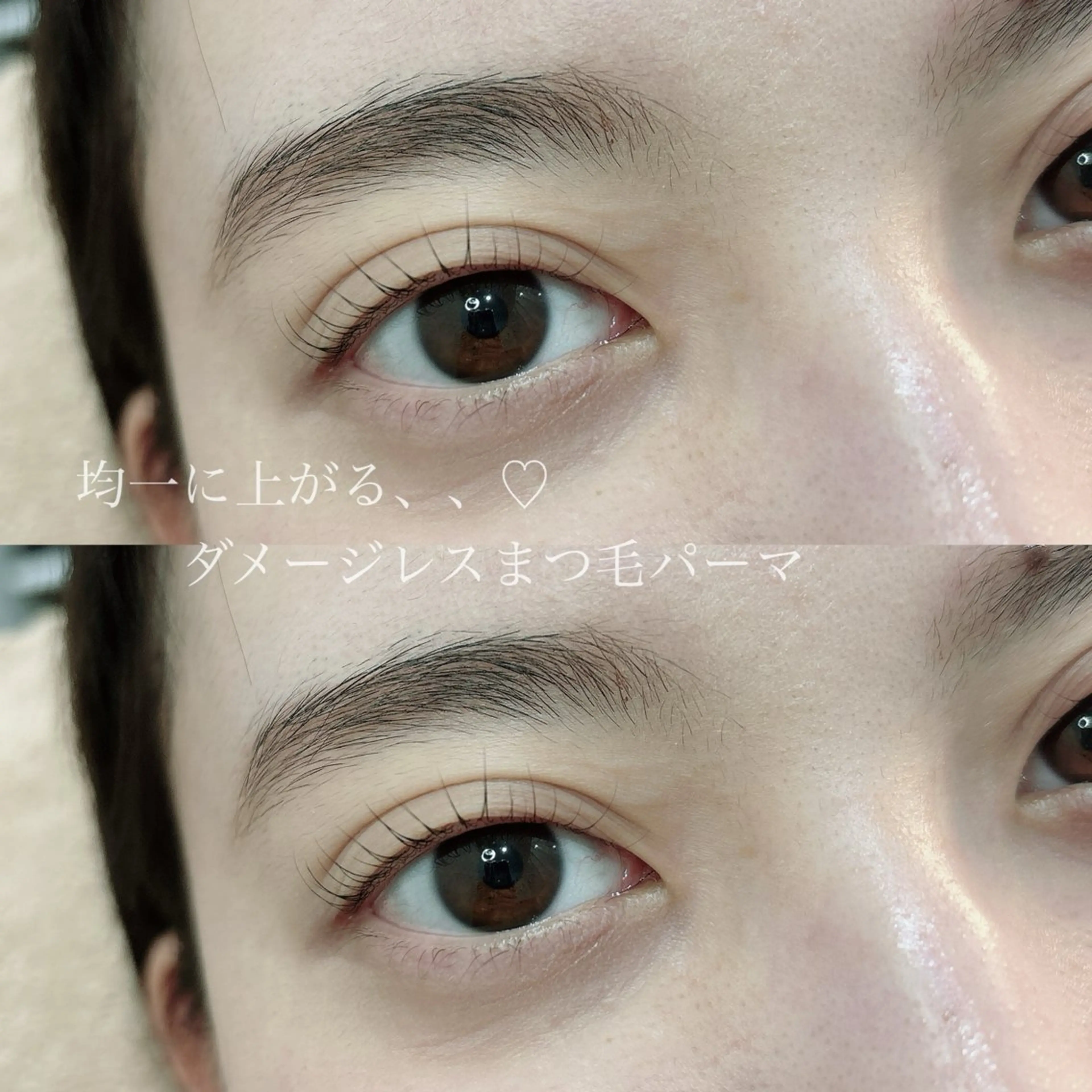 マツエク・マツパ まつげパーマ 一重×まつ毛パーマ SEALA 高石の眉毛・アイブロウイメージ