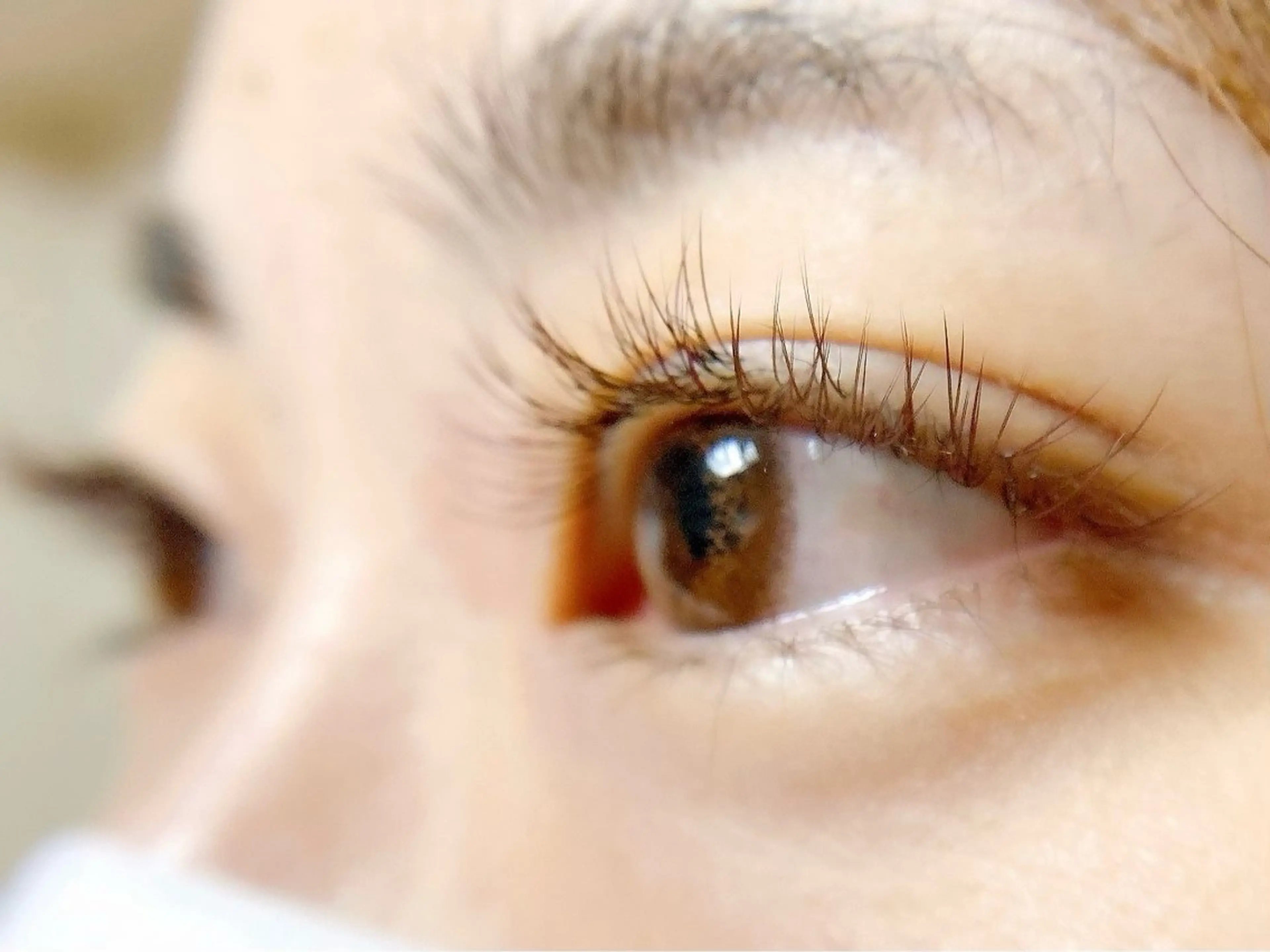 マツエク・マツパ Hase　本八幡 🧸マツエク専門🧸のマツエク・マツパデザイン