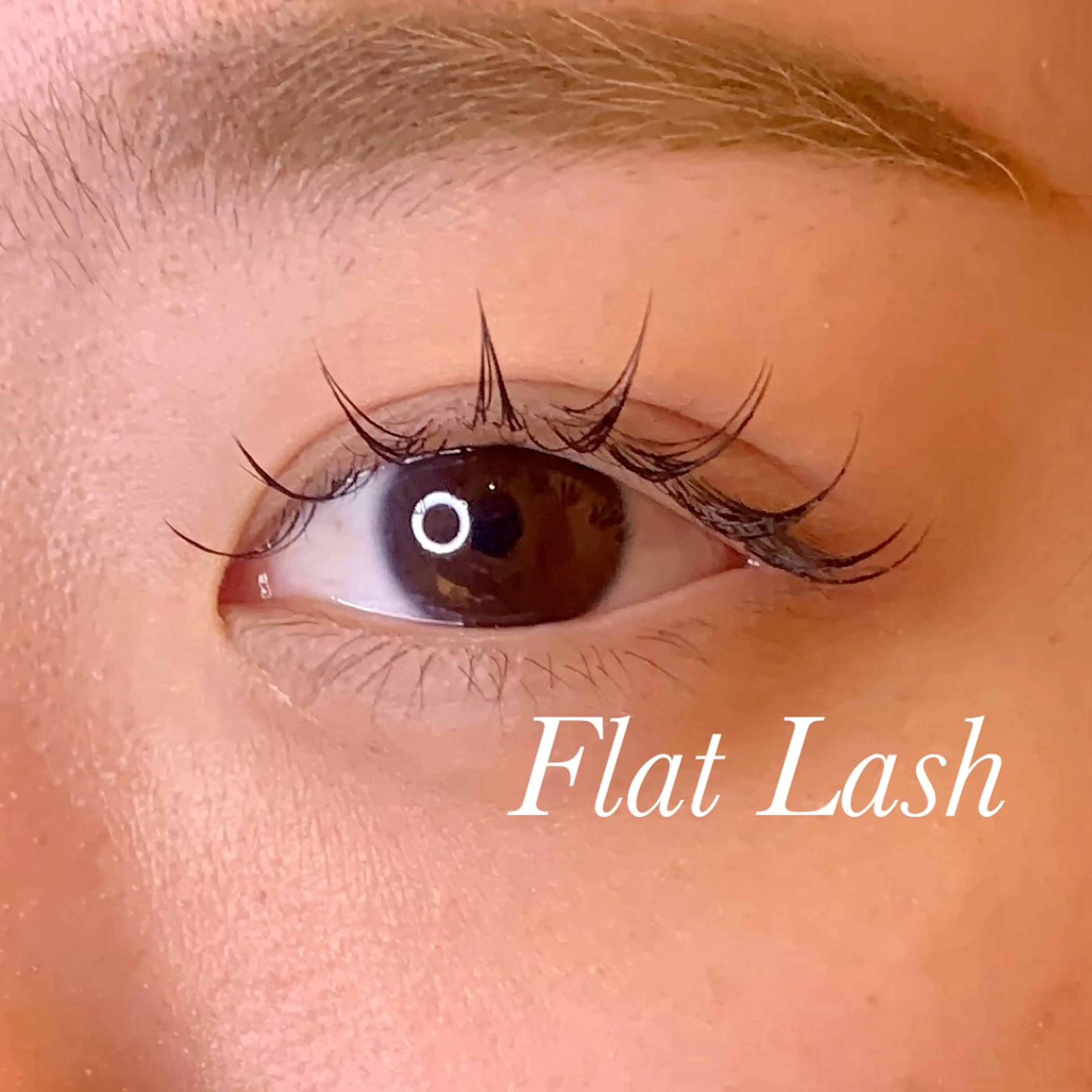 マツエク・マツパ Cカール フラットラッシュ マツエク Ayumi.pro 🍆N《4階》のマツエク・マツパデザイン