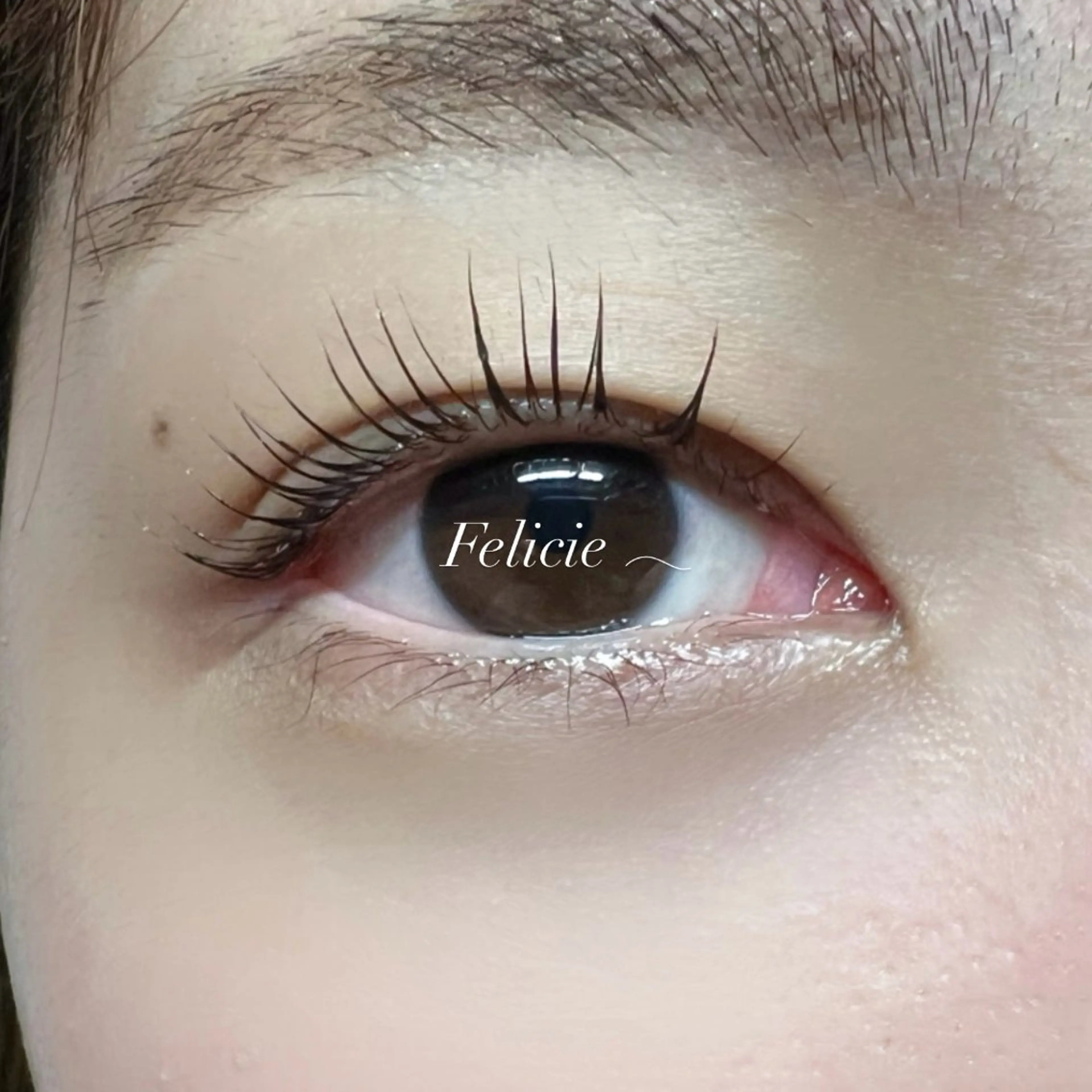 マツエク・マツパ パリジェンヌラッシュリフト マツパ Felicie＊ Sayakaのマツエク・マツパデザイン