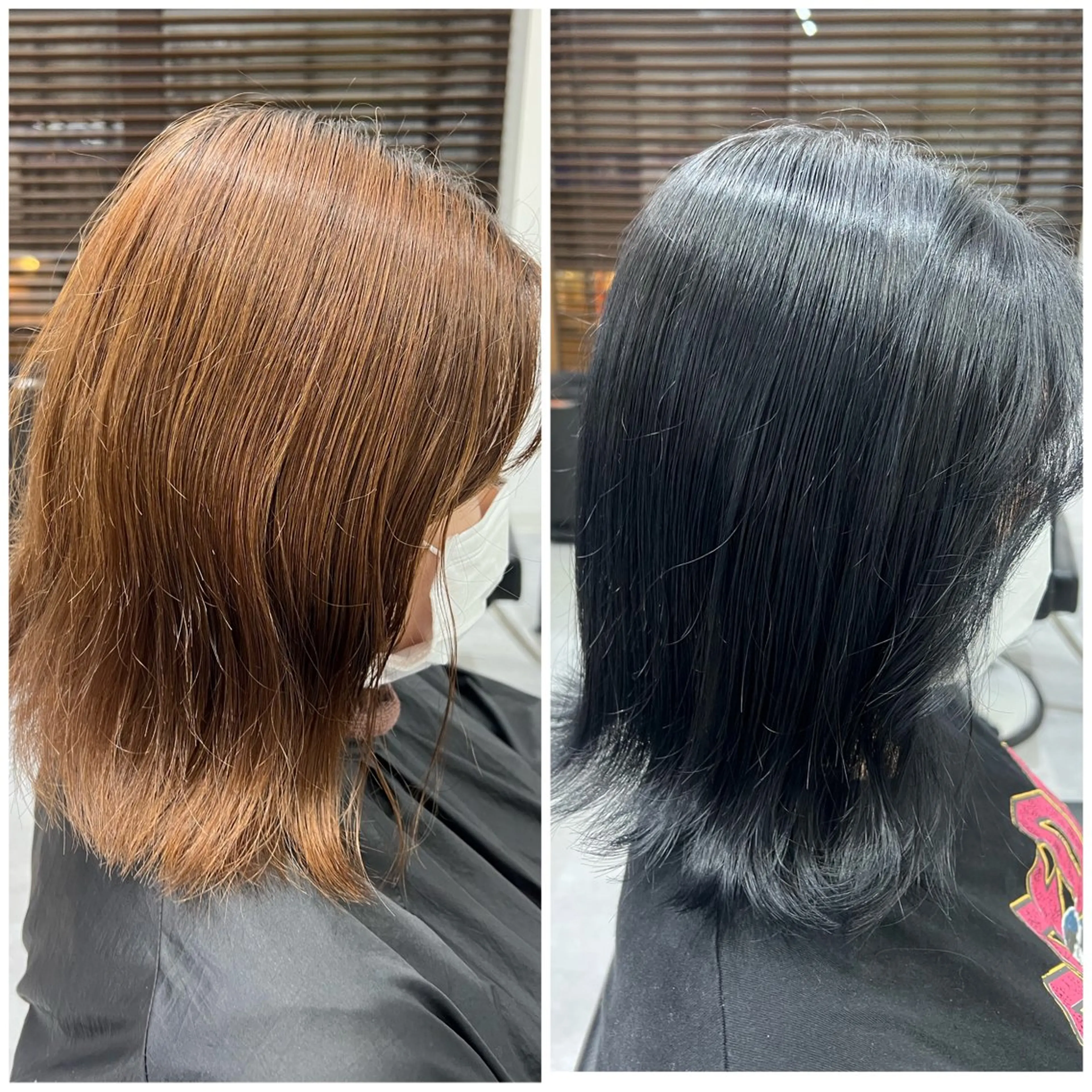 ショート カラー 黒髪 ブルーカラー ブルーブラック 透明感カラー 学生 ショート/ウルフ カットモデル募集のヘアスタイル