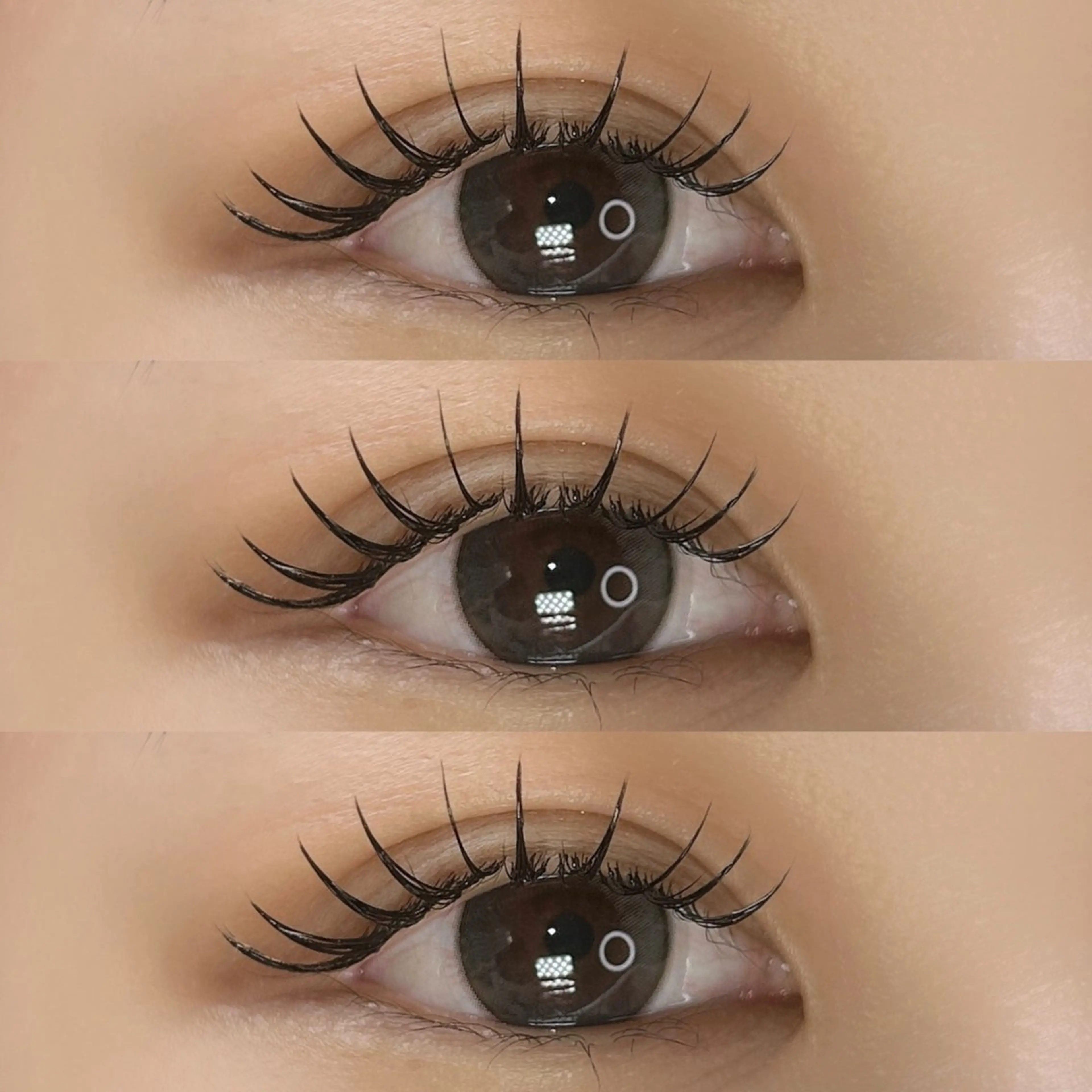 𝘓𝘌𝘋 𝘍𝘓𝘈𝘛𝘓𝘈𝘚𝘏𝟭𝟮𝟬本｜フラットラッシュ.⋆𝜗𝜚の写真