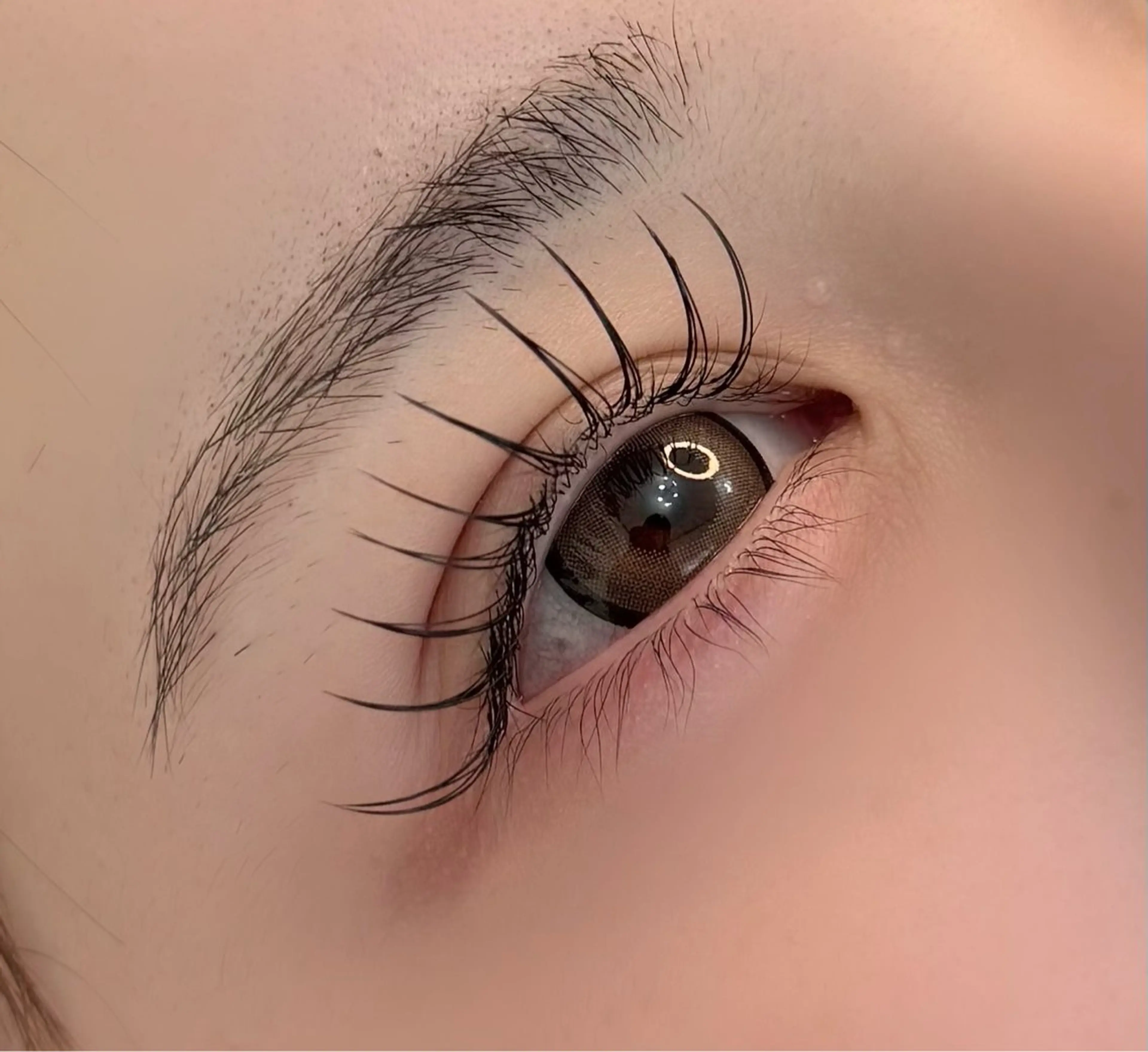 マツエク・マツパ マツエク 【那覇/束感まつ毛 /LED】ｷｬﾒﾙのマツエク・マツパデザイン