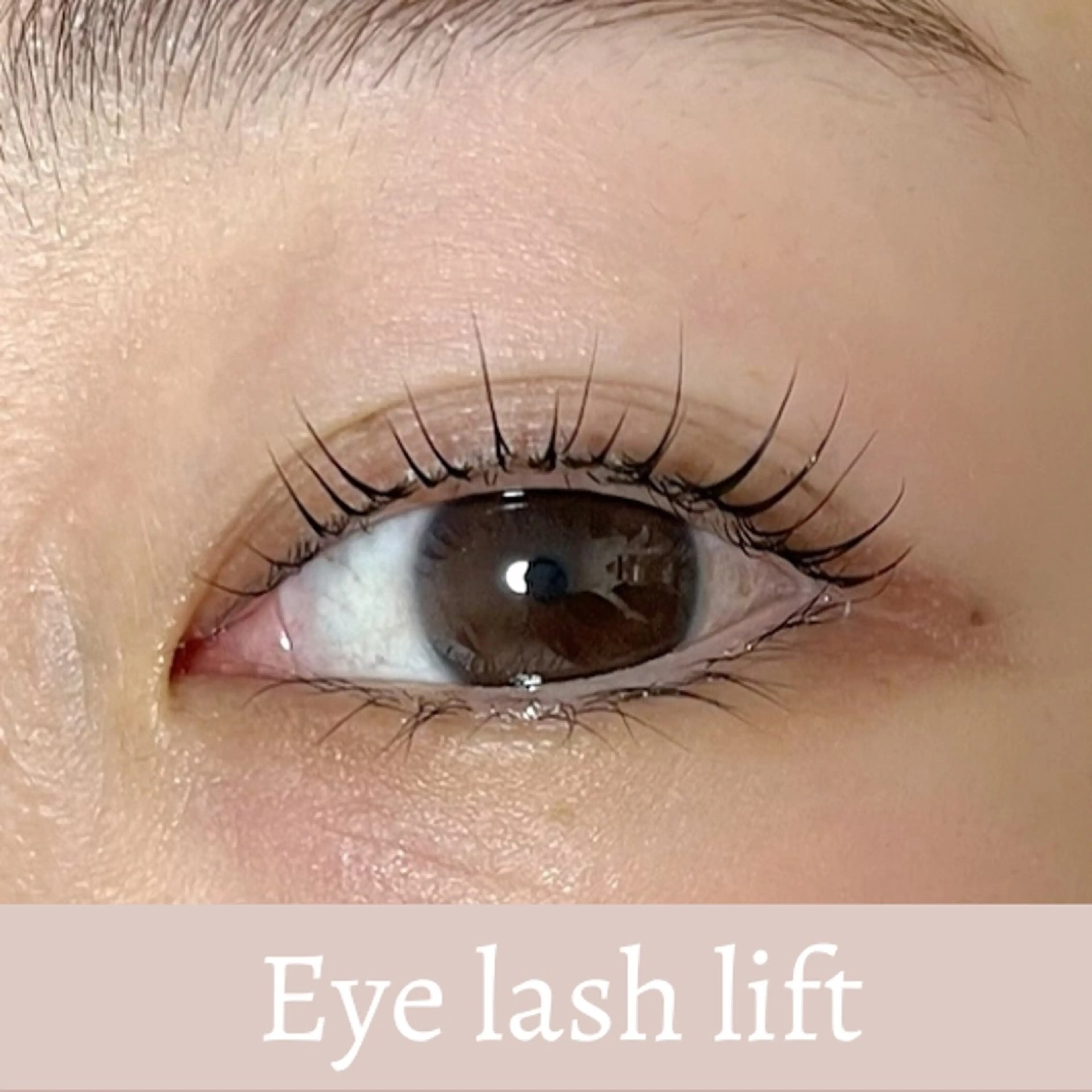 マツエク・マツパ MONDO AYUの眉毛・アイブロウイメージ