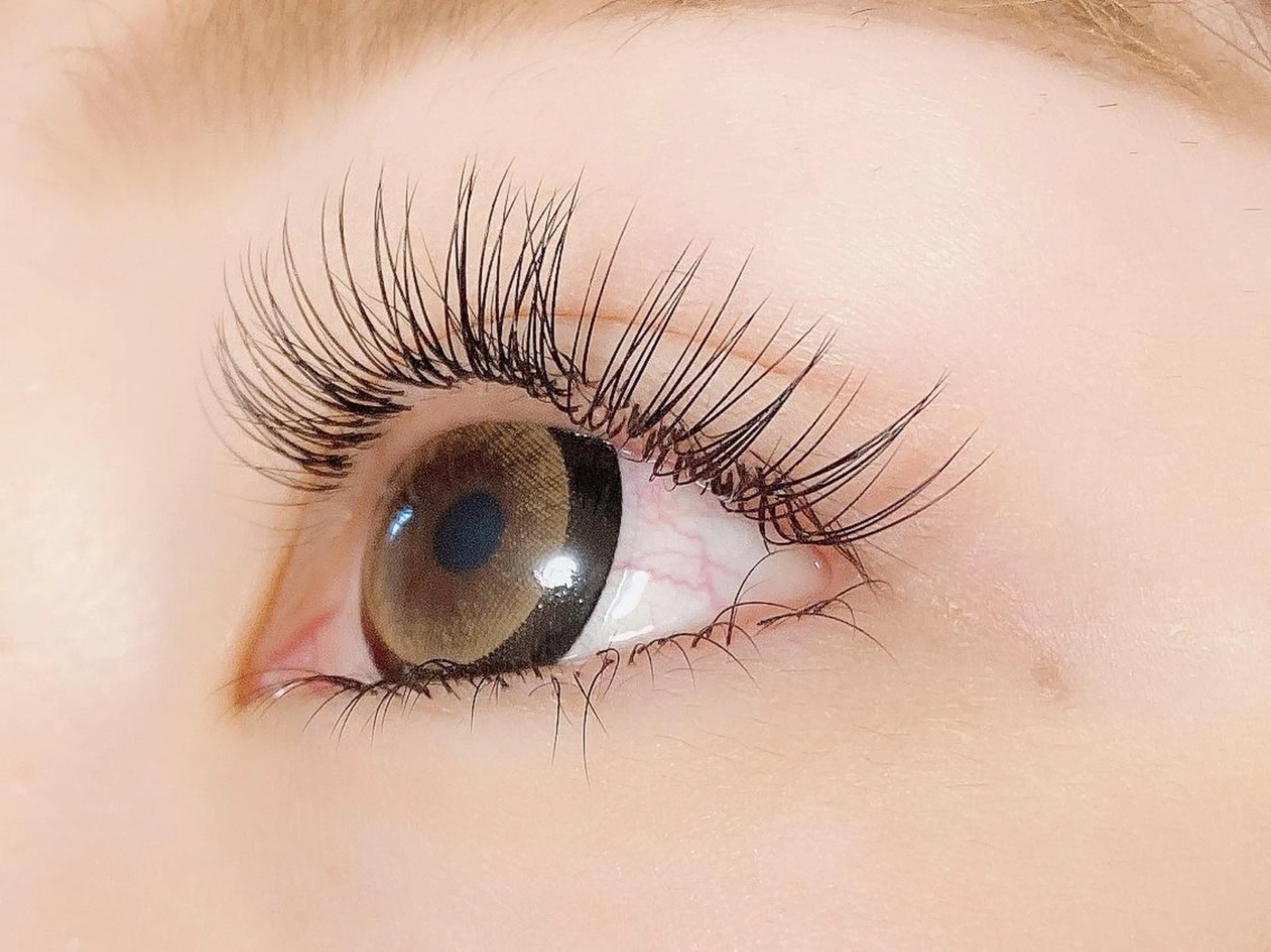 リピーター様🉐何度でも使える❗️フラットラッシュ上付け放題✨の写真