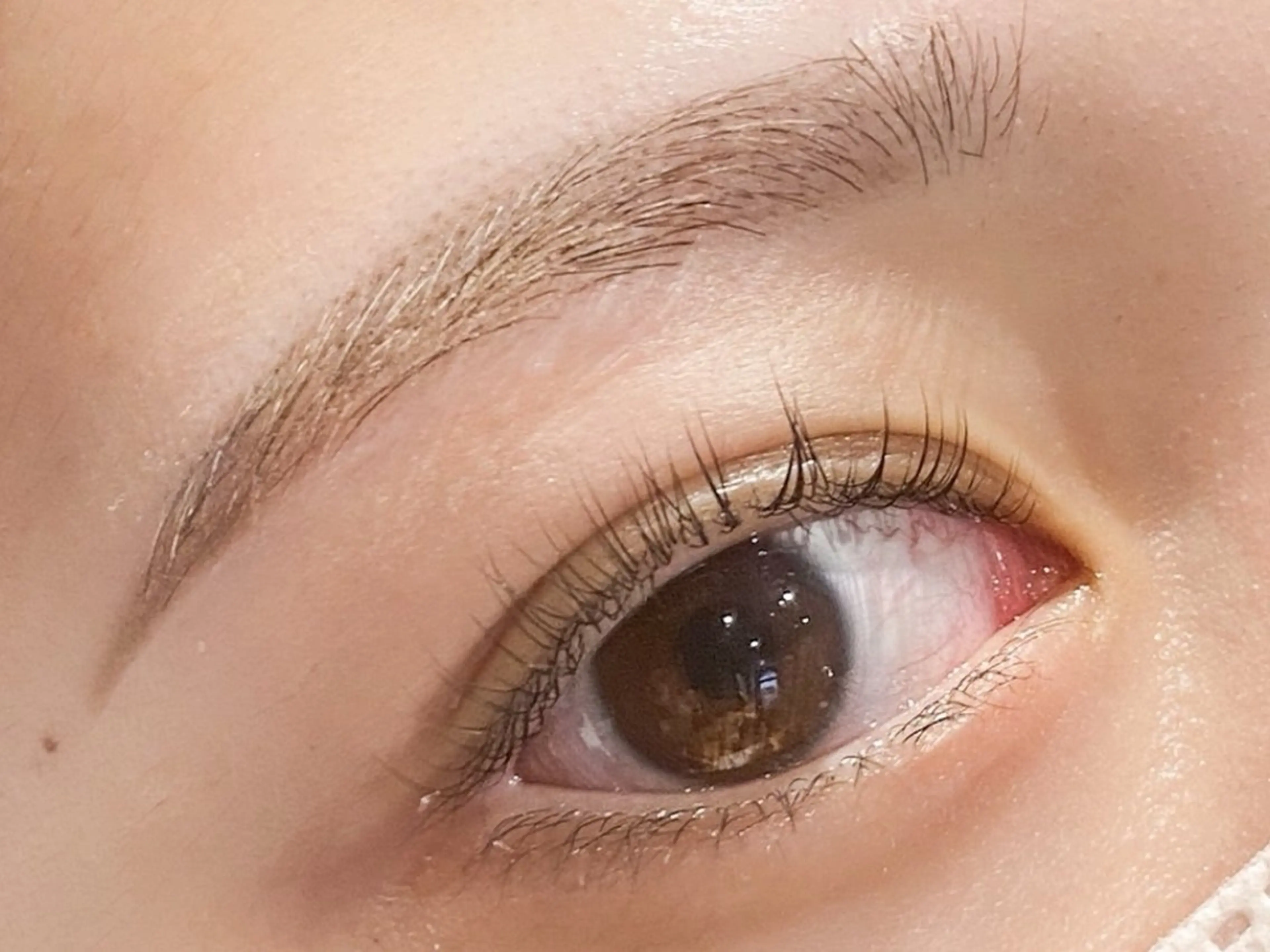 アイブロウ 森山 奈保子の眉毛・アイブロウイメージ