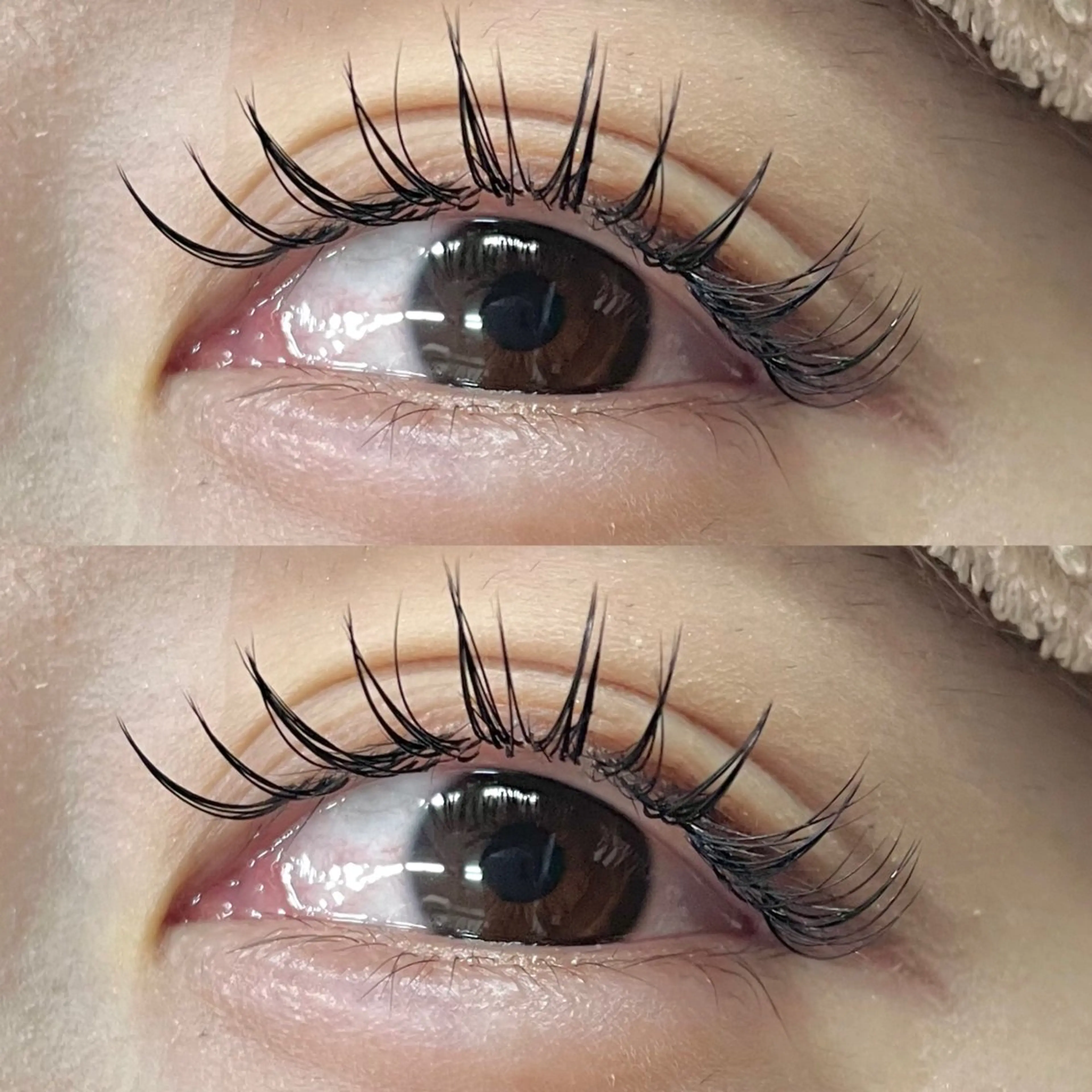 マツエク・マツパ ミンク MAQUIA佐賀店 古賀のマツエク・マツパデザイン