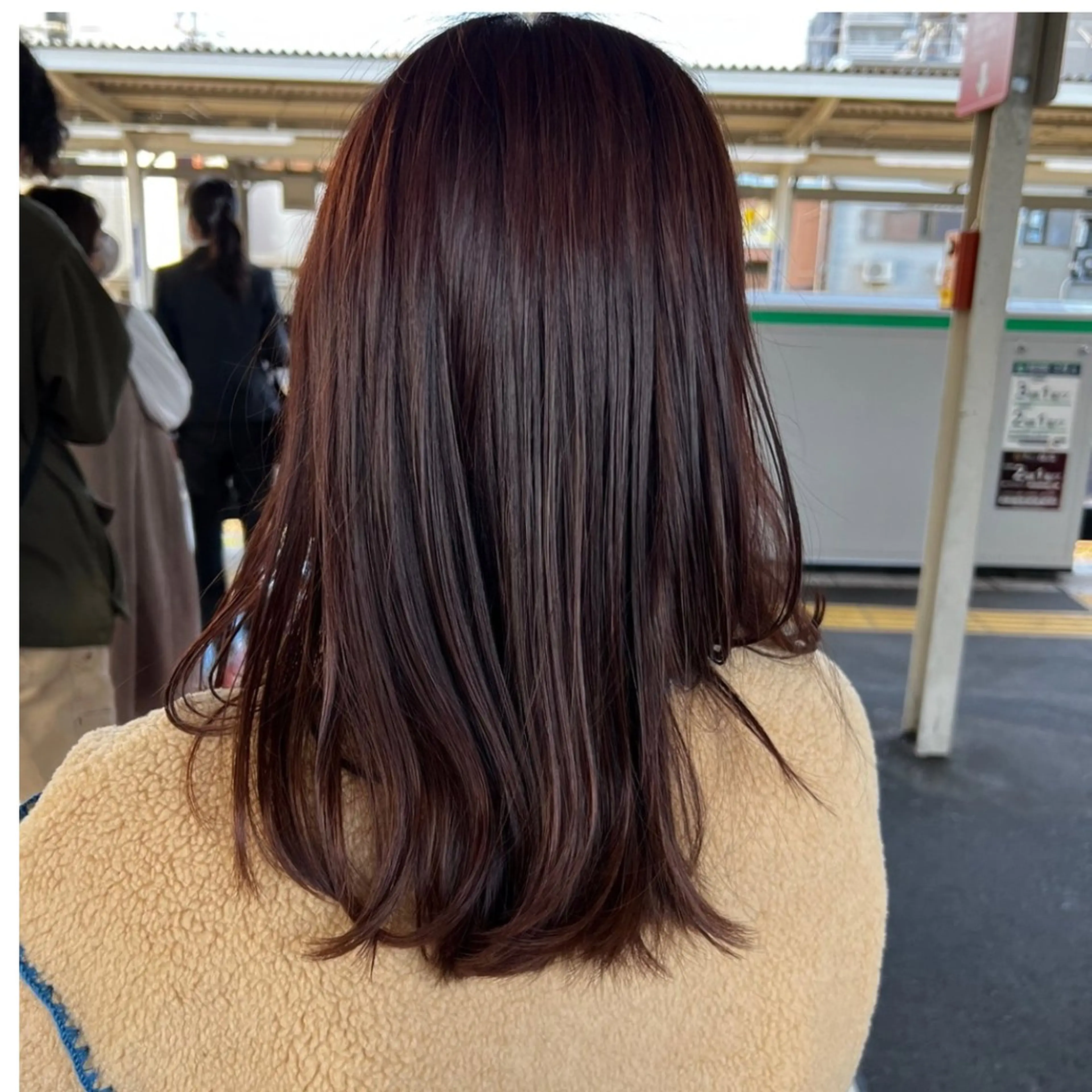 セミロング 根本 未由のヘアスタイル