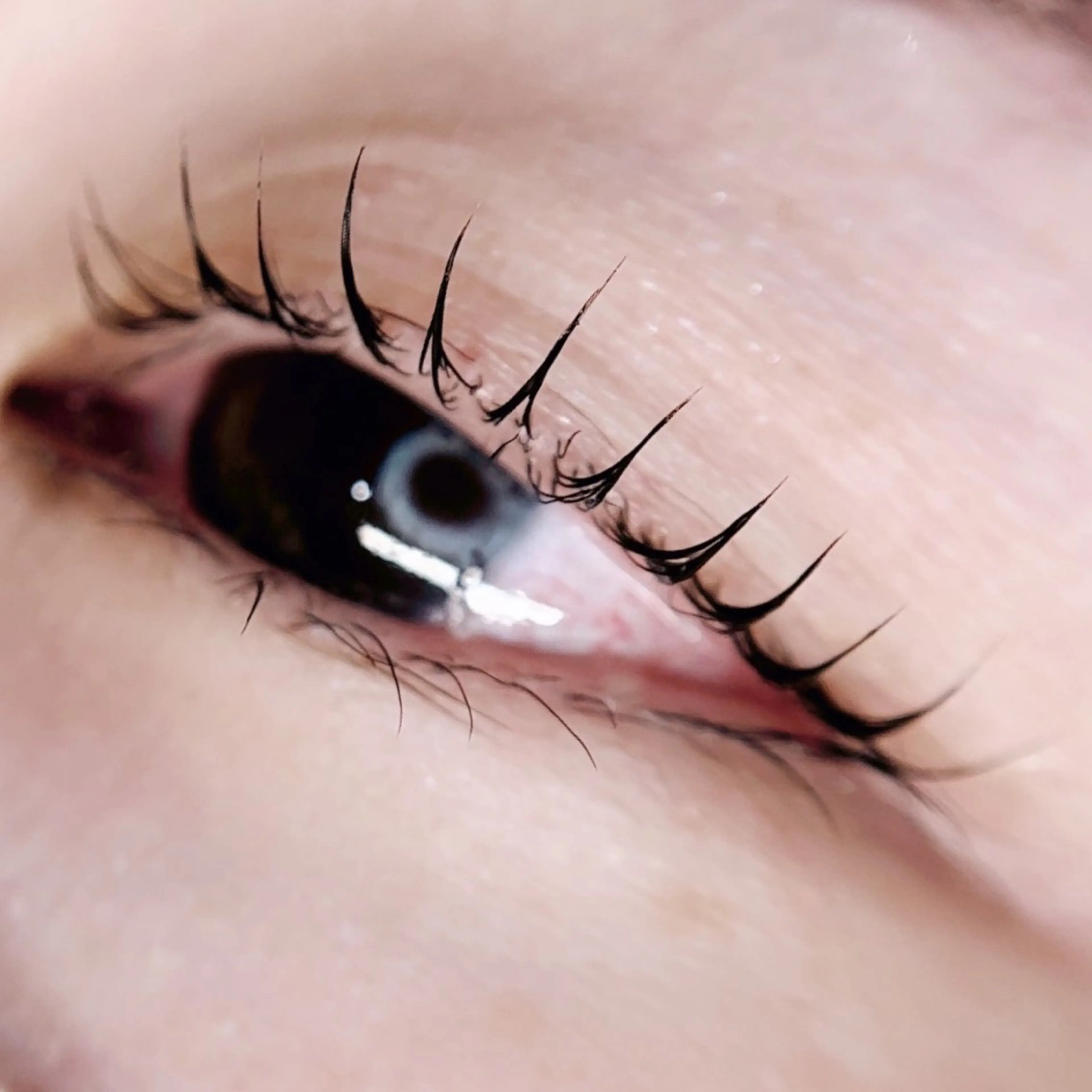 マツエク・マツパ フラットラッシュ パリジェンヌラッシュリフト まつげパーマ Liyone 橋本のマツエク・マツパデザイン