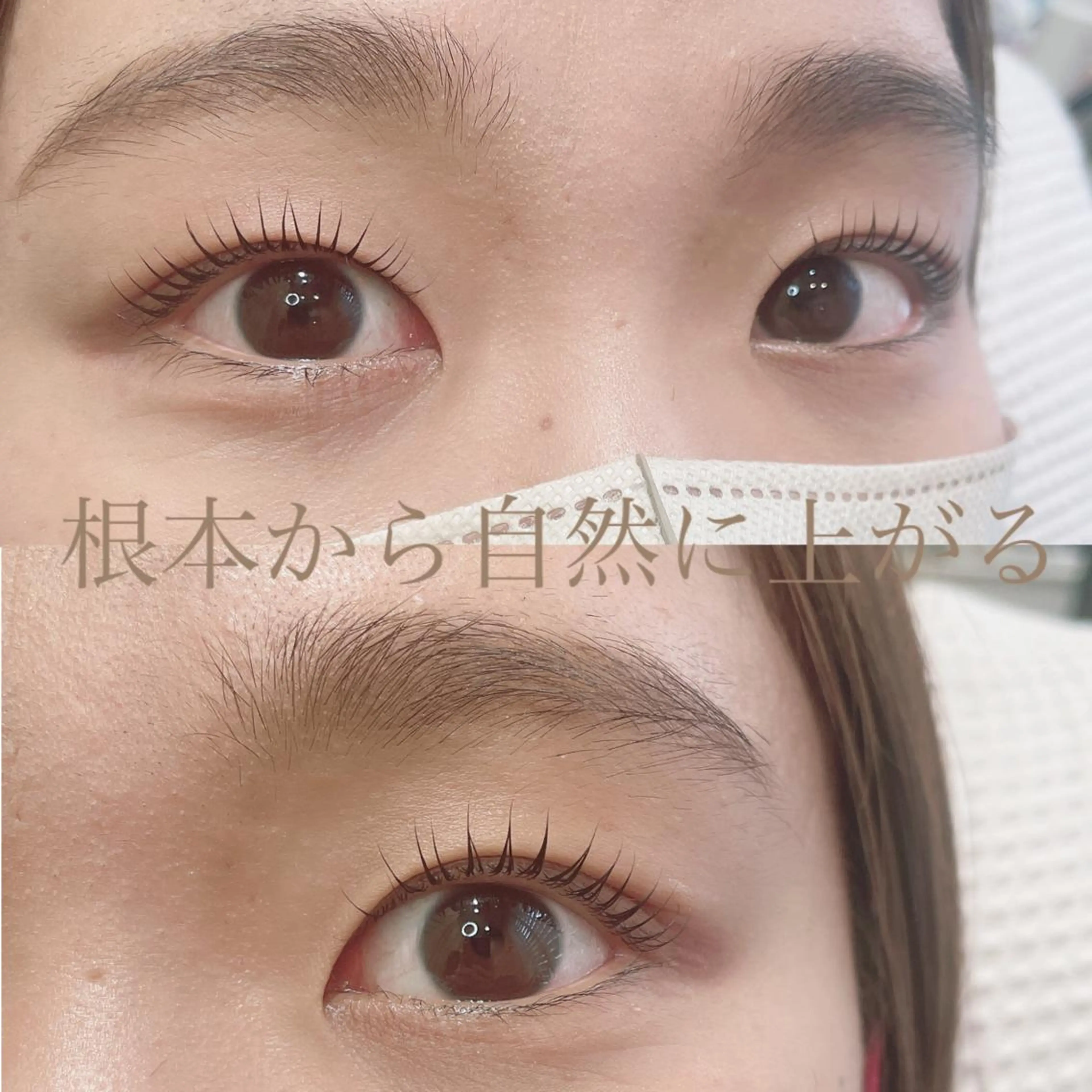 マツエク・マツパ バインドロック フラットラッシュ ナチュラル パリジェンヌラッシュリフト まつげパーマ マツパ SEALA 高石の眉毛・アイブロウイメージ