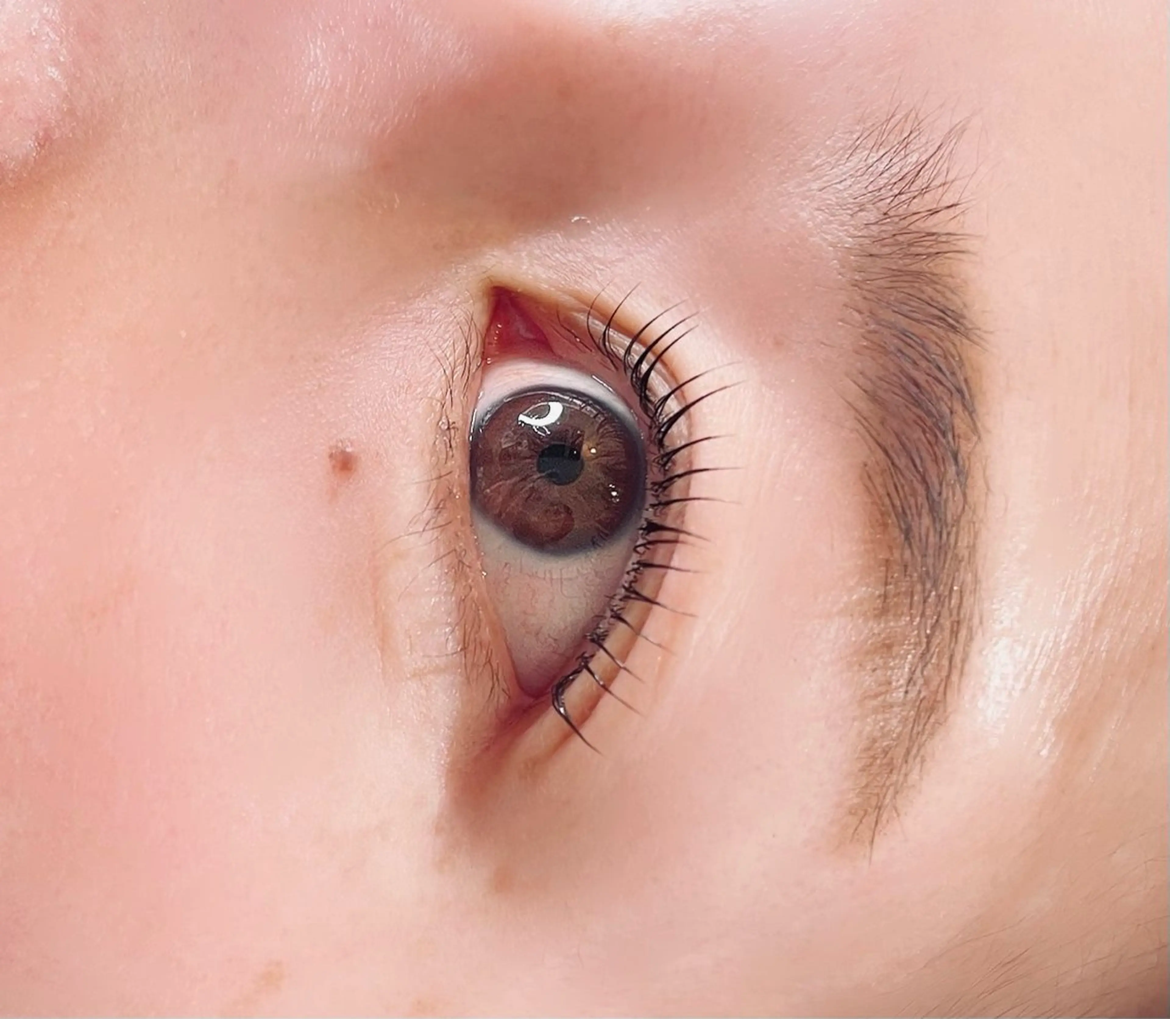 マツエク・マツパ CHION eyelash所属・mai  CHION eyelashのマツエク・マツパデザイン