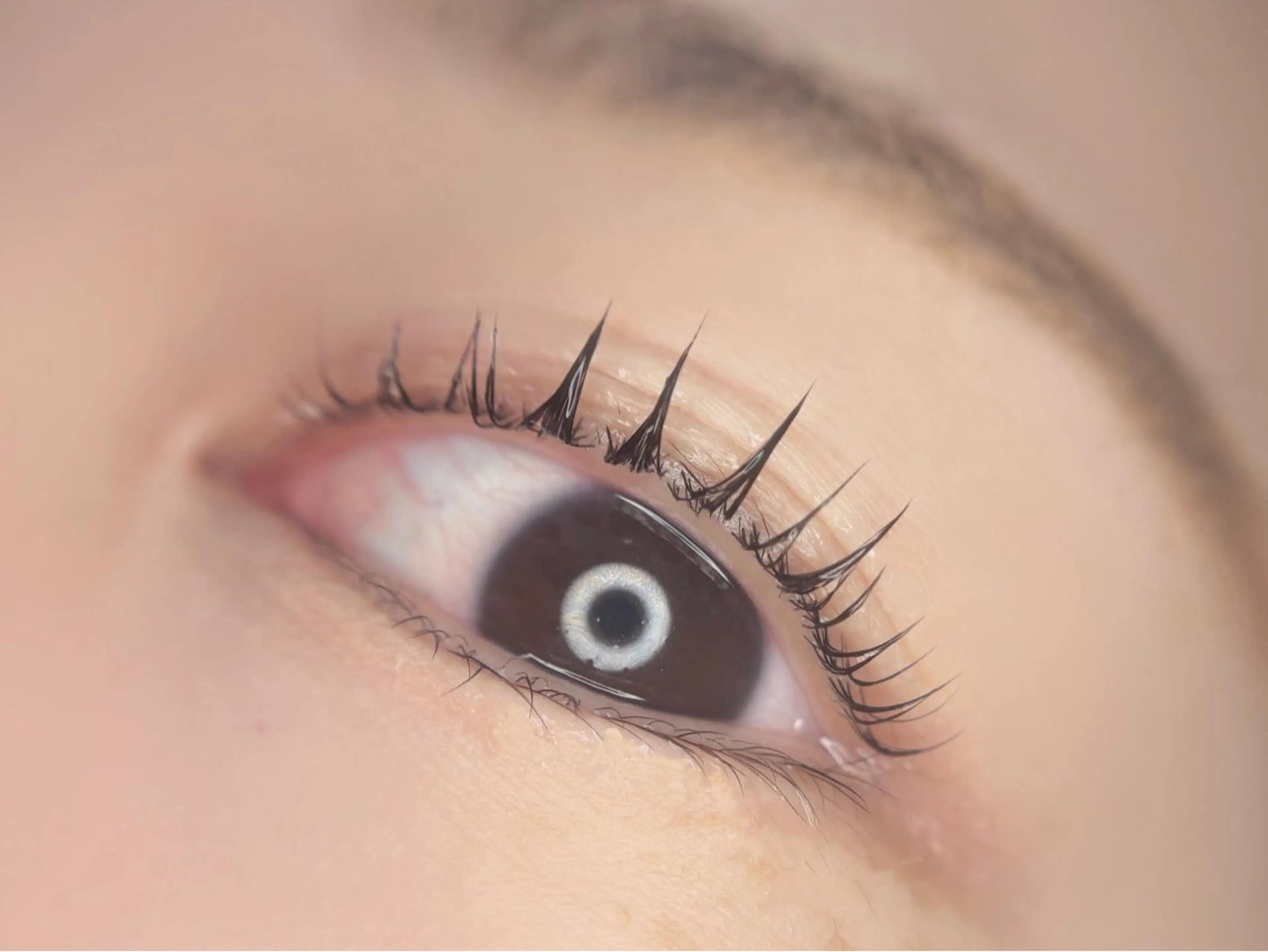 マツエク・マツパ パリジェンヌラッシュリフト マツパ 🤍南流山MaaZ staff1⃣🤍のマツエク・マツパデザイン