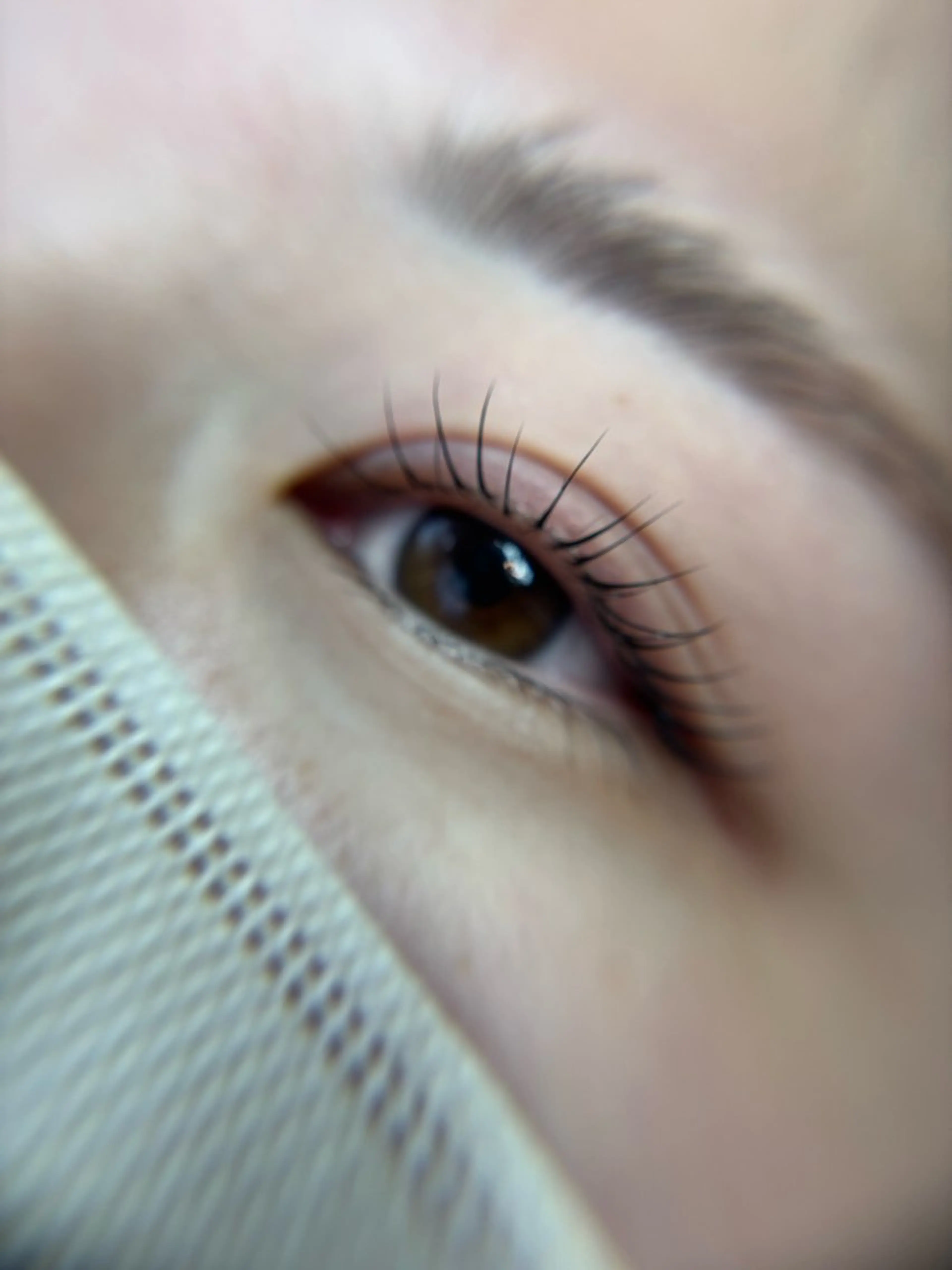 マツエク・マツパ 一重×まつ毛パーマ マツパ ORTENSIA 六本松のマツエク・マツパデザイン