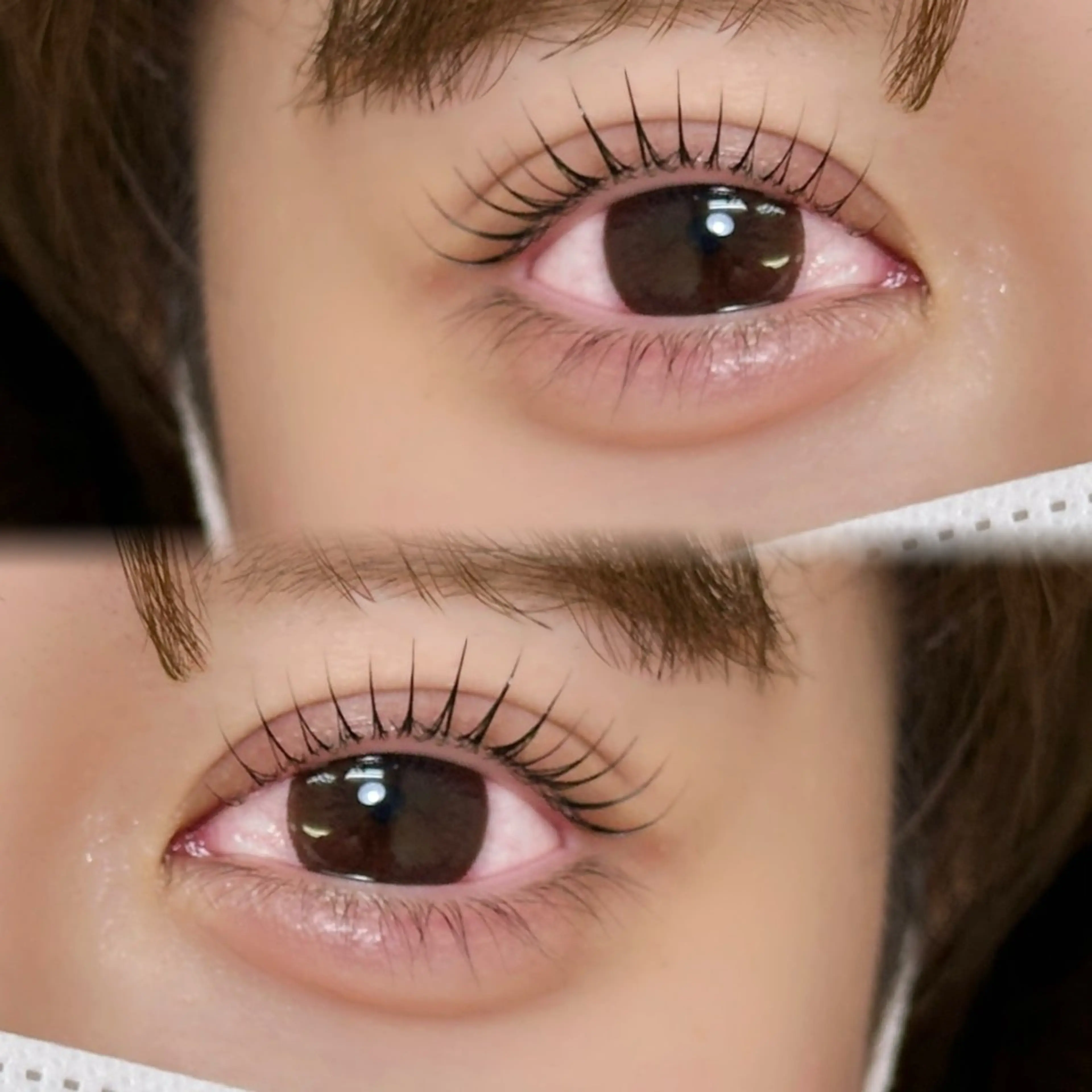 マツエク・マツパ マツパ MOE 表参道ｱｲﾘｽﾄのマツエク・マツパデザイン