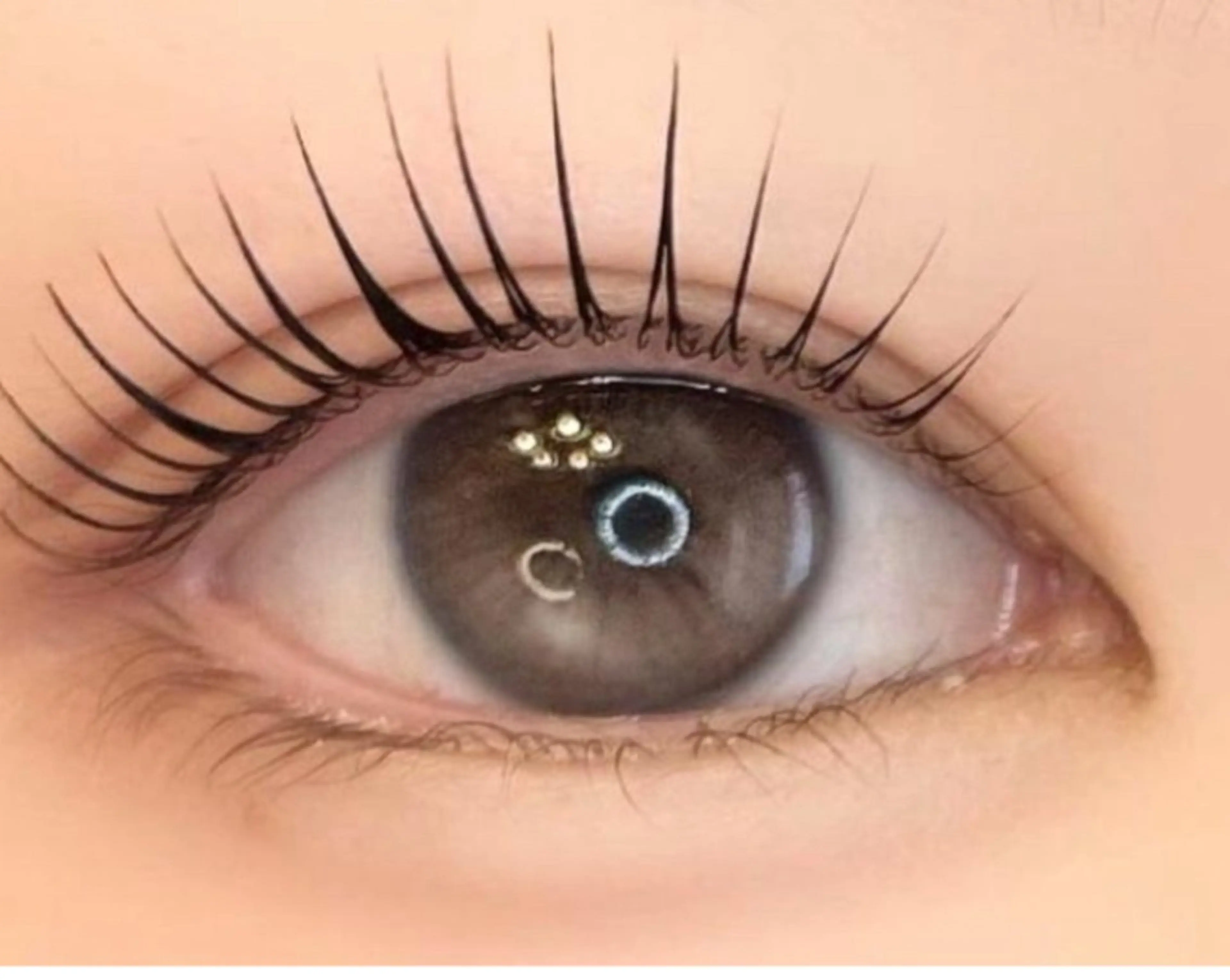 パリジェンヌの写真