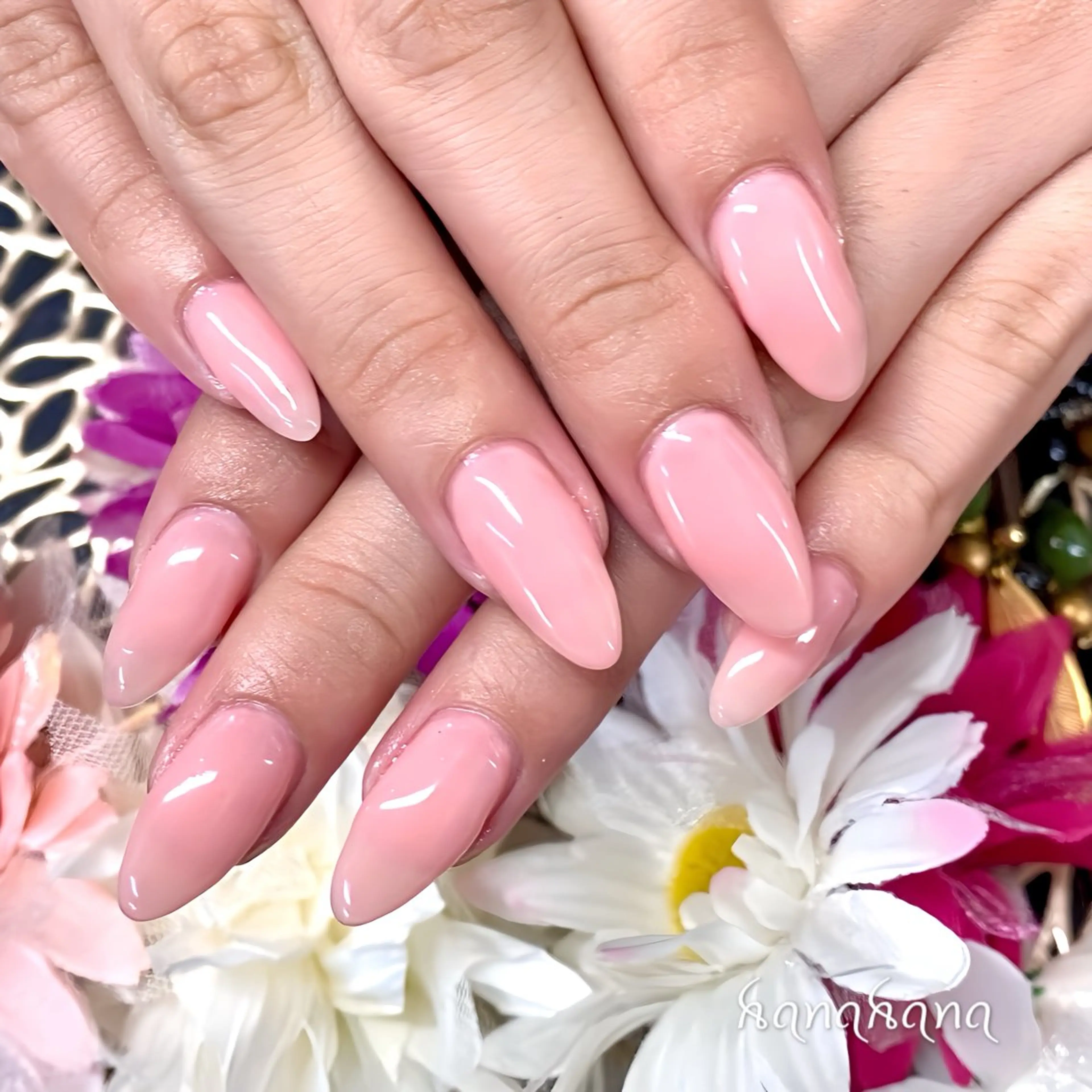 【ワンカラーキャンペーン】オフなしの写真