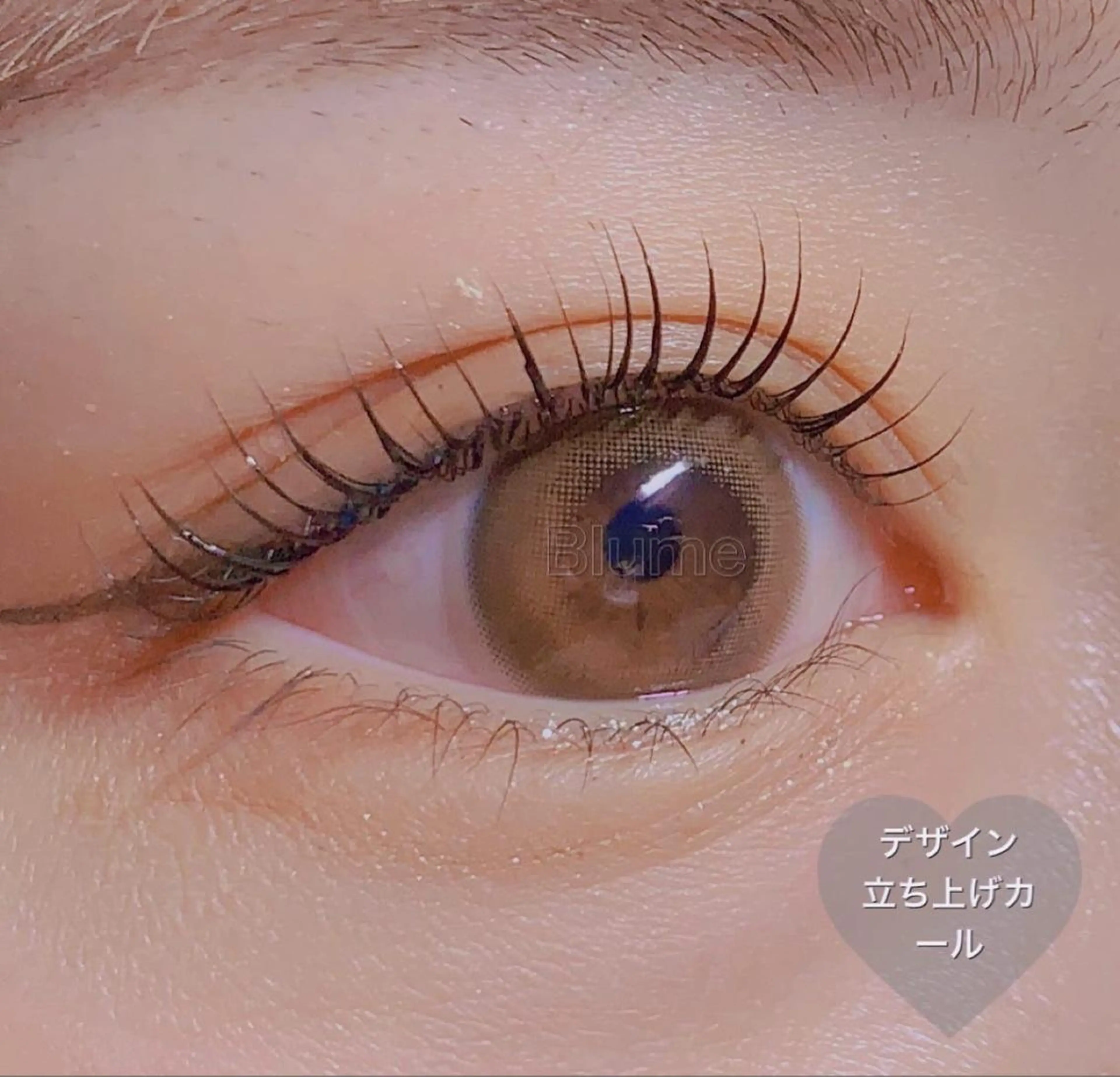 まつげパーマ 上(アイシャンプー・コーティング込み)の写真