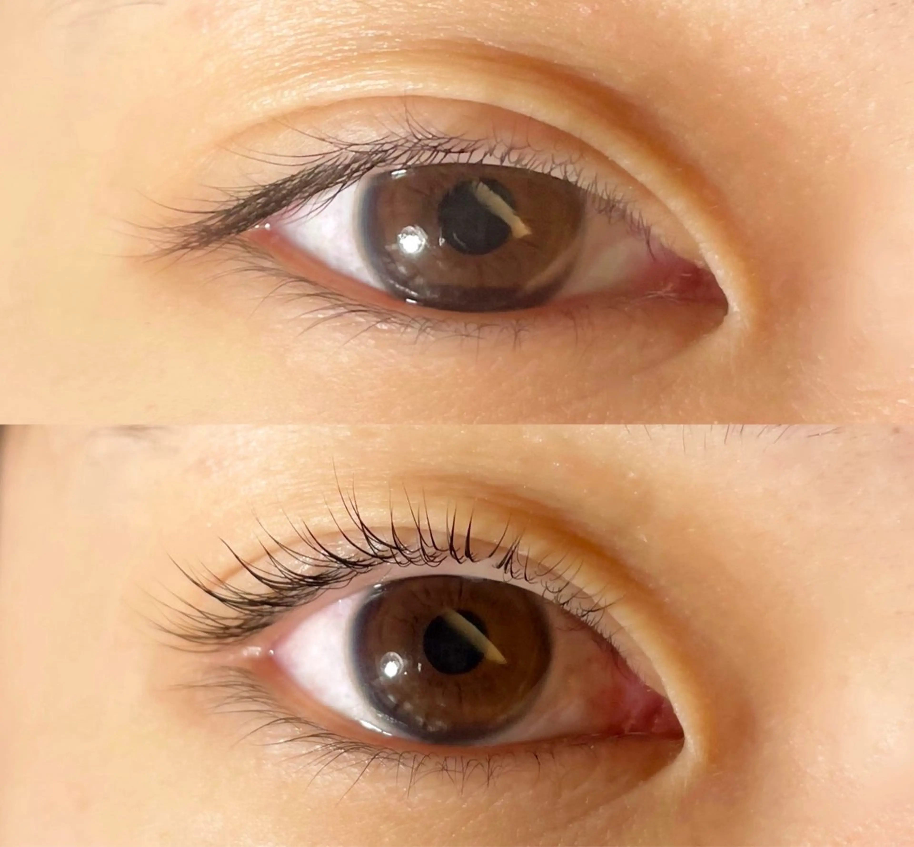 ⭐️似合わせカット＋まつ毛パーマ「ラッシュリフト」👀💖の写真