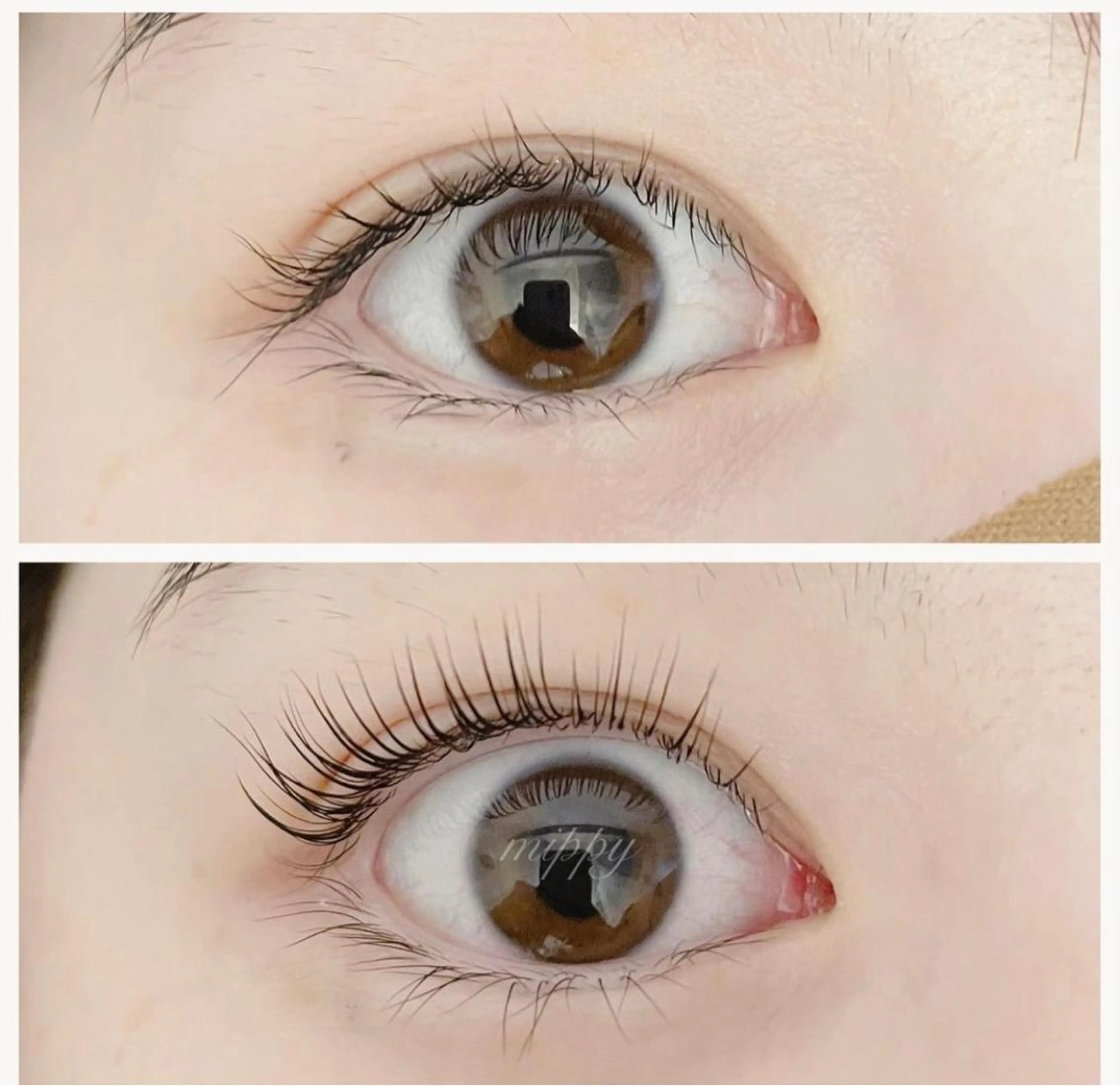 マツエク・マツパ パリジェンヌラッシュリフト ｍｉｐｐｙ 🪽のマツエク・マツパデザイン