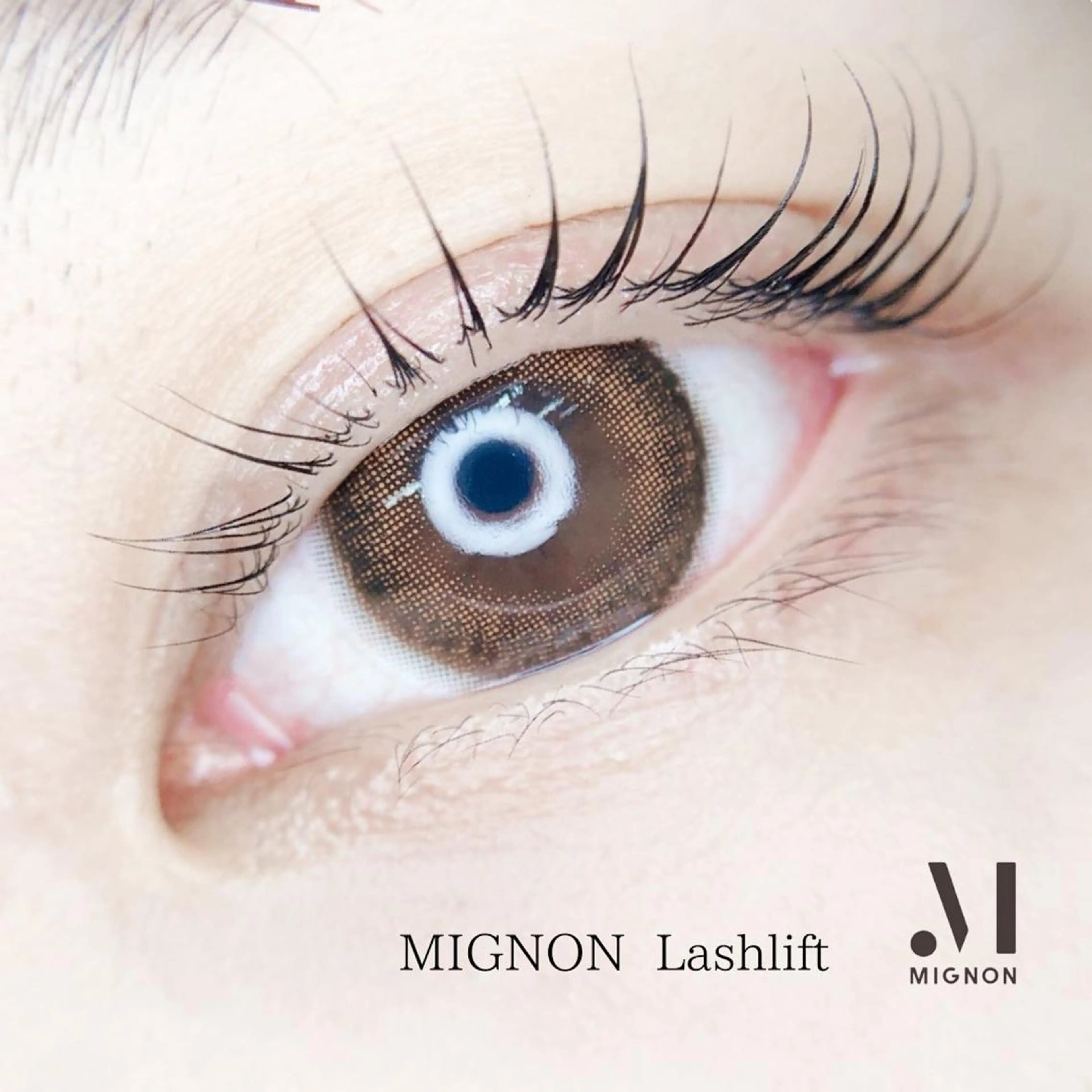 マツエク・マツパ マツパ MIGNON 冨田　当日予約のみのマツエク・マツパデザイン