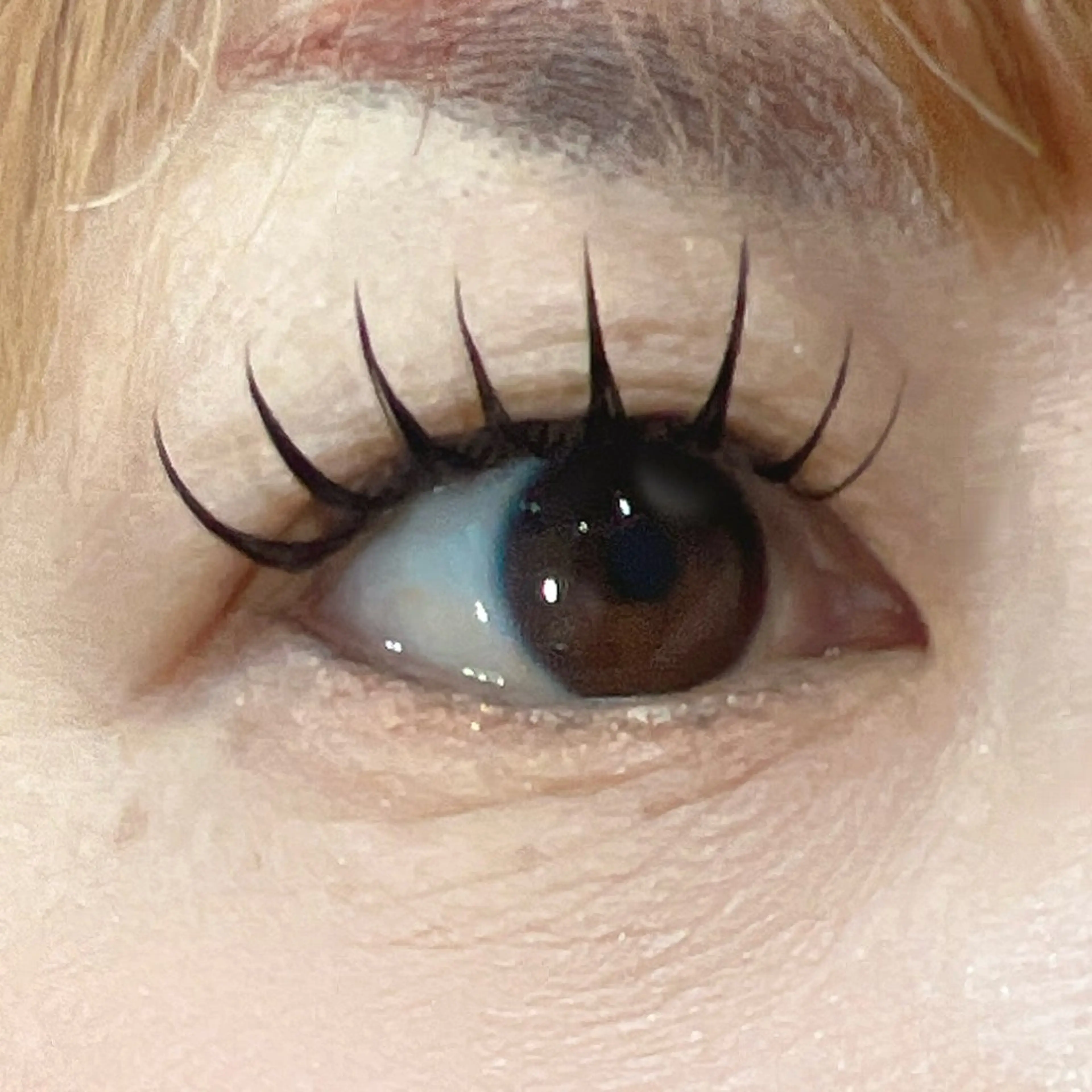 マツエク・マツパ Dカール MAQUIA 大場の眉毛・アイブロウイメージ