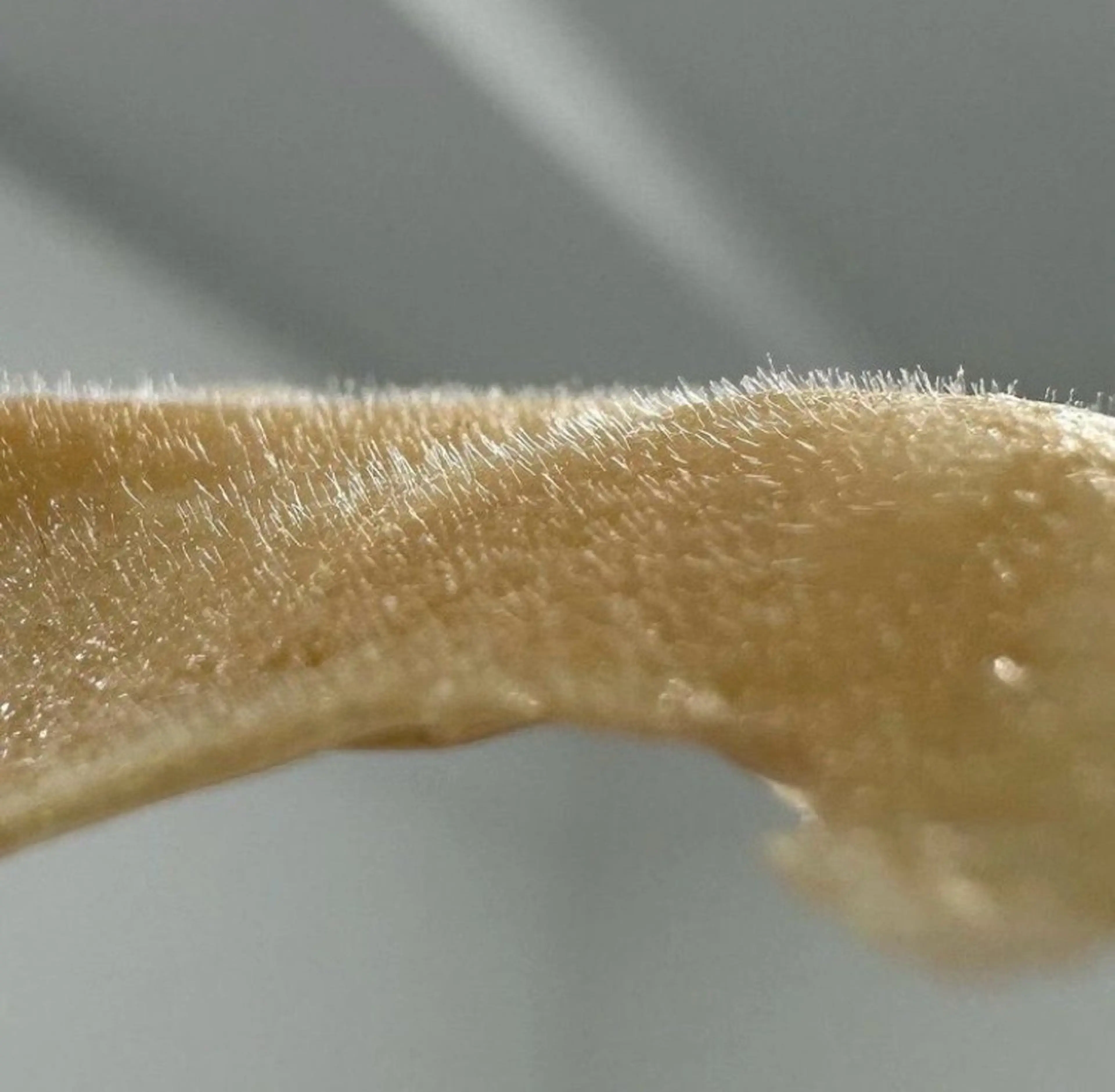 【90分で見た目変わる☆毛穴/皮脂/ツヤ肌/メイク崩れ】ピーリング効果抜群フェイスワックス+パックの写真