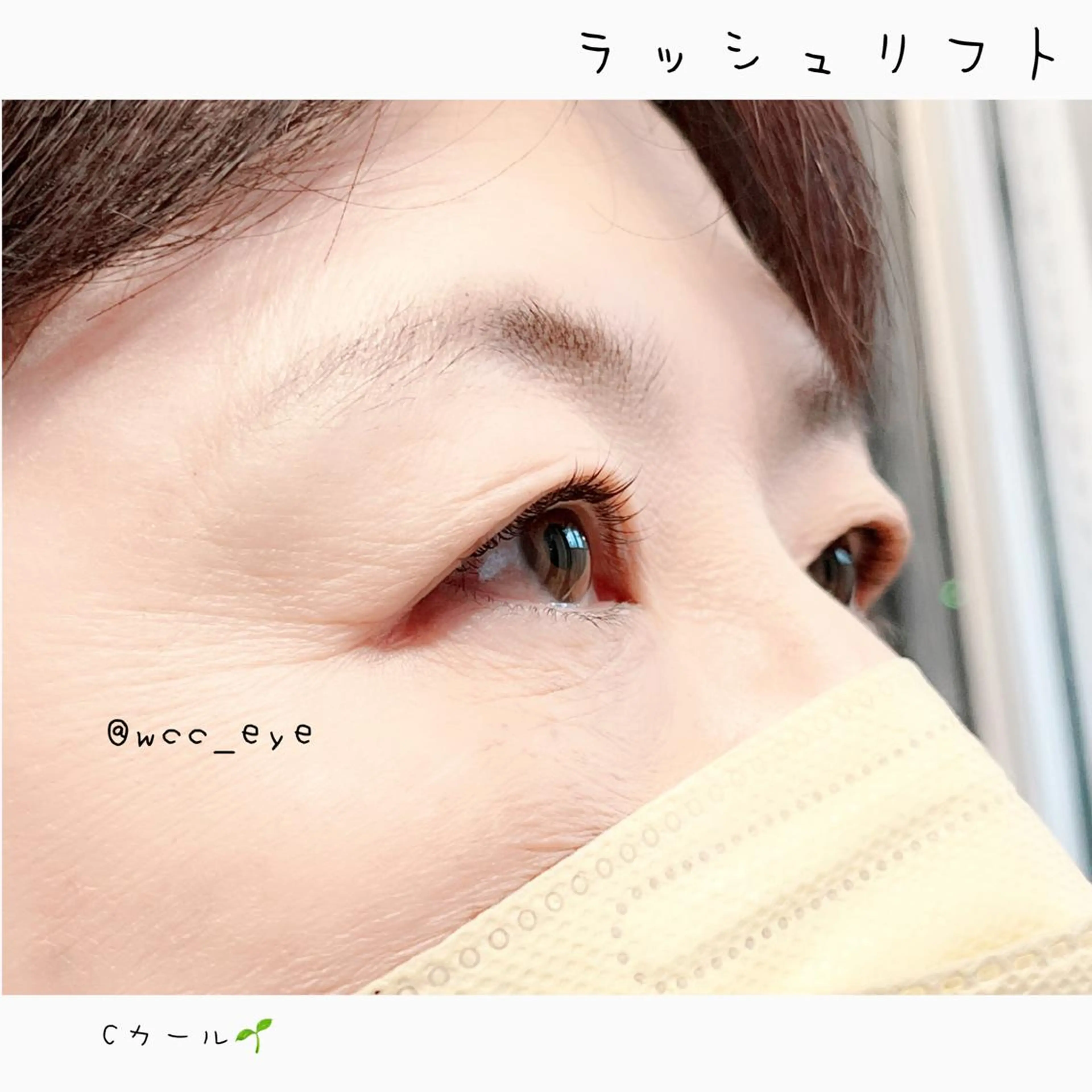 マツエク・マツパ Cカール 一重×まつ毛パーマ ヴィーナスラッシュ WATANABEのマツエク・マツパデザイン