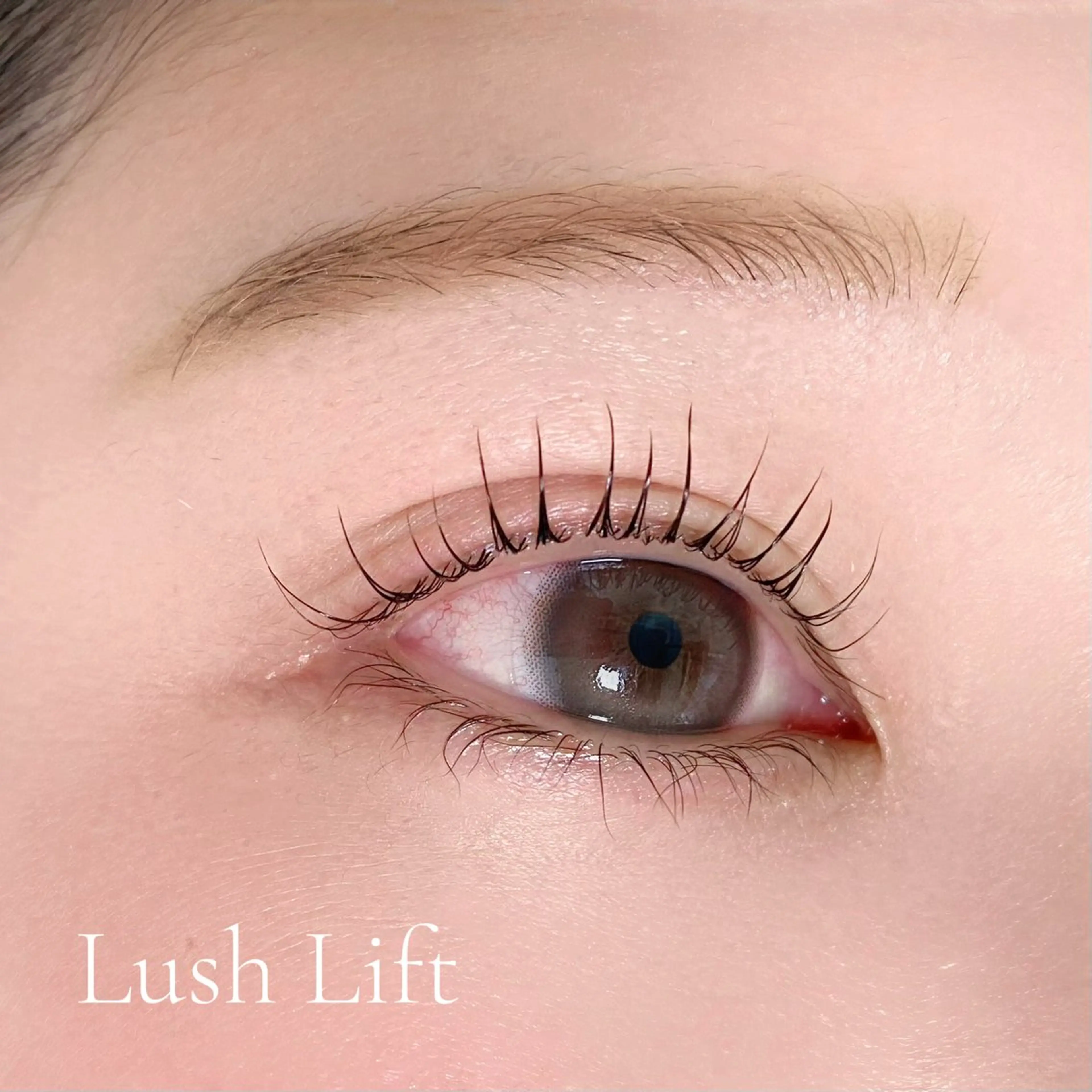 ご新規様限定まつげパーマ👀アイシャンプー付き🫧の写真