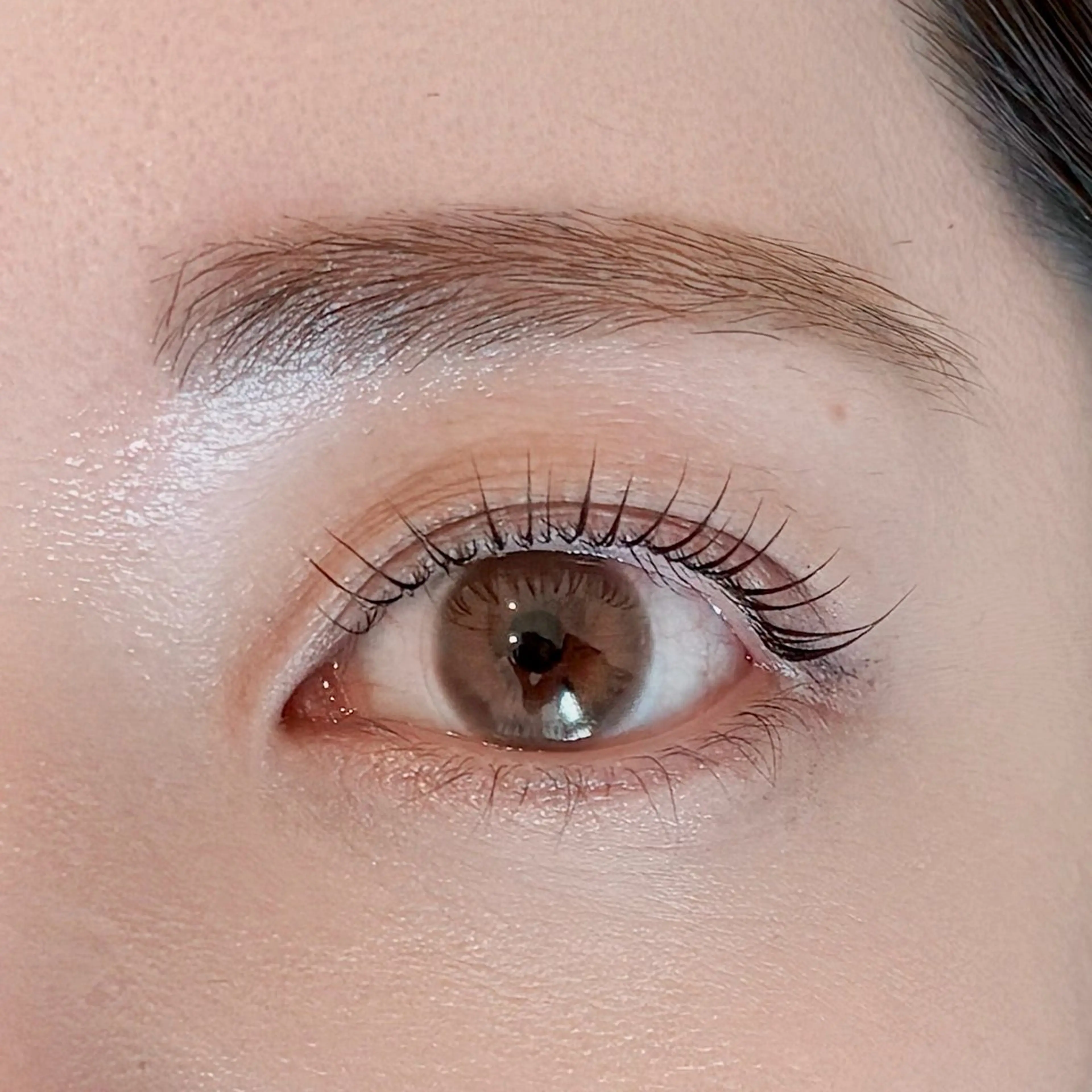 🌷春の目元メンテナンス🌷まつげパーマ＋眉毛WAX（毛量調整込）＋eye shampooの写真