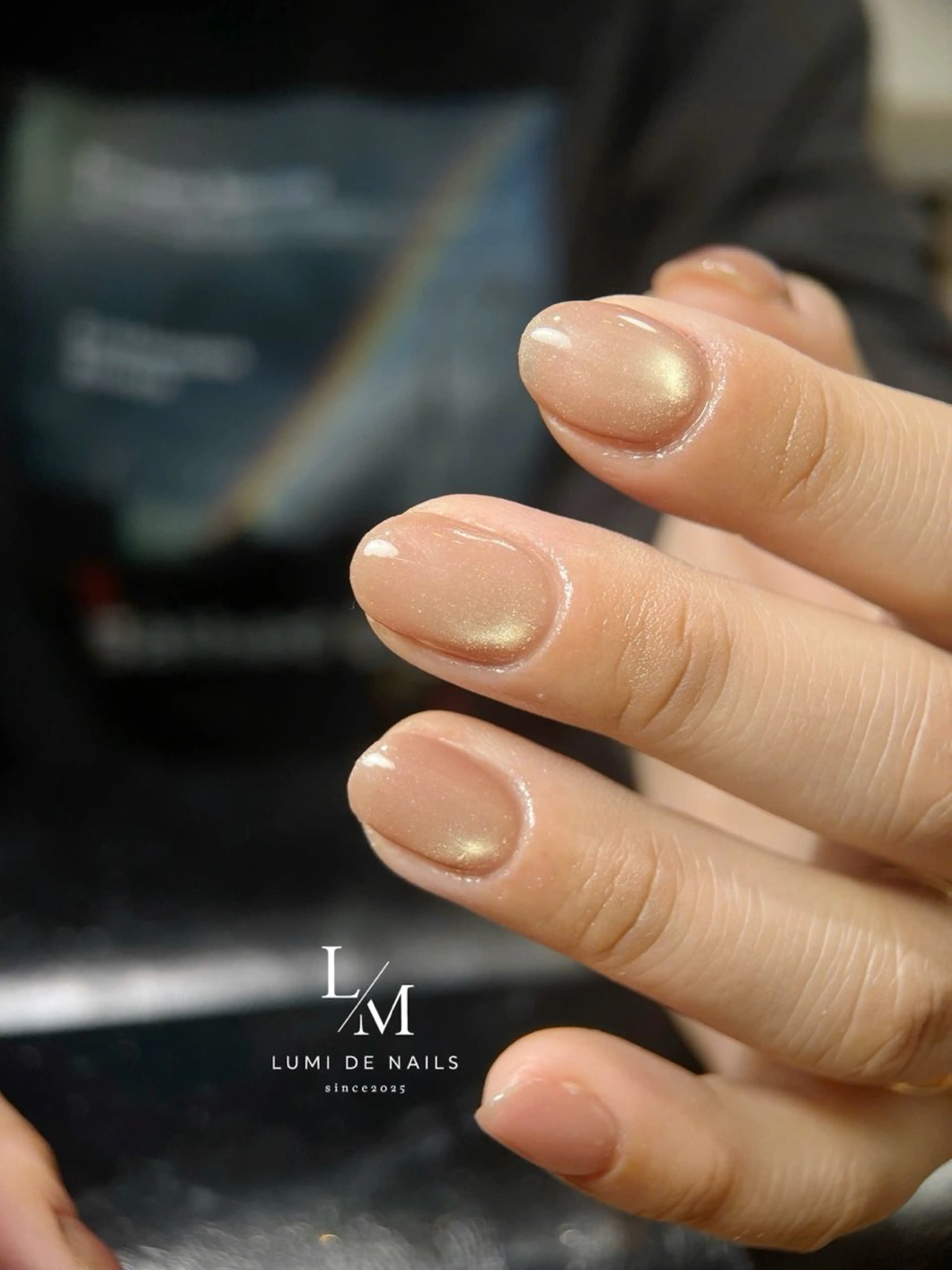 ネイル グラデーション ラメ(グリッター) マグネットネイル ミラーネイル ニュアンスネイル ハンドネイル Lumi de nailsのネイルデザイン