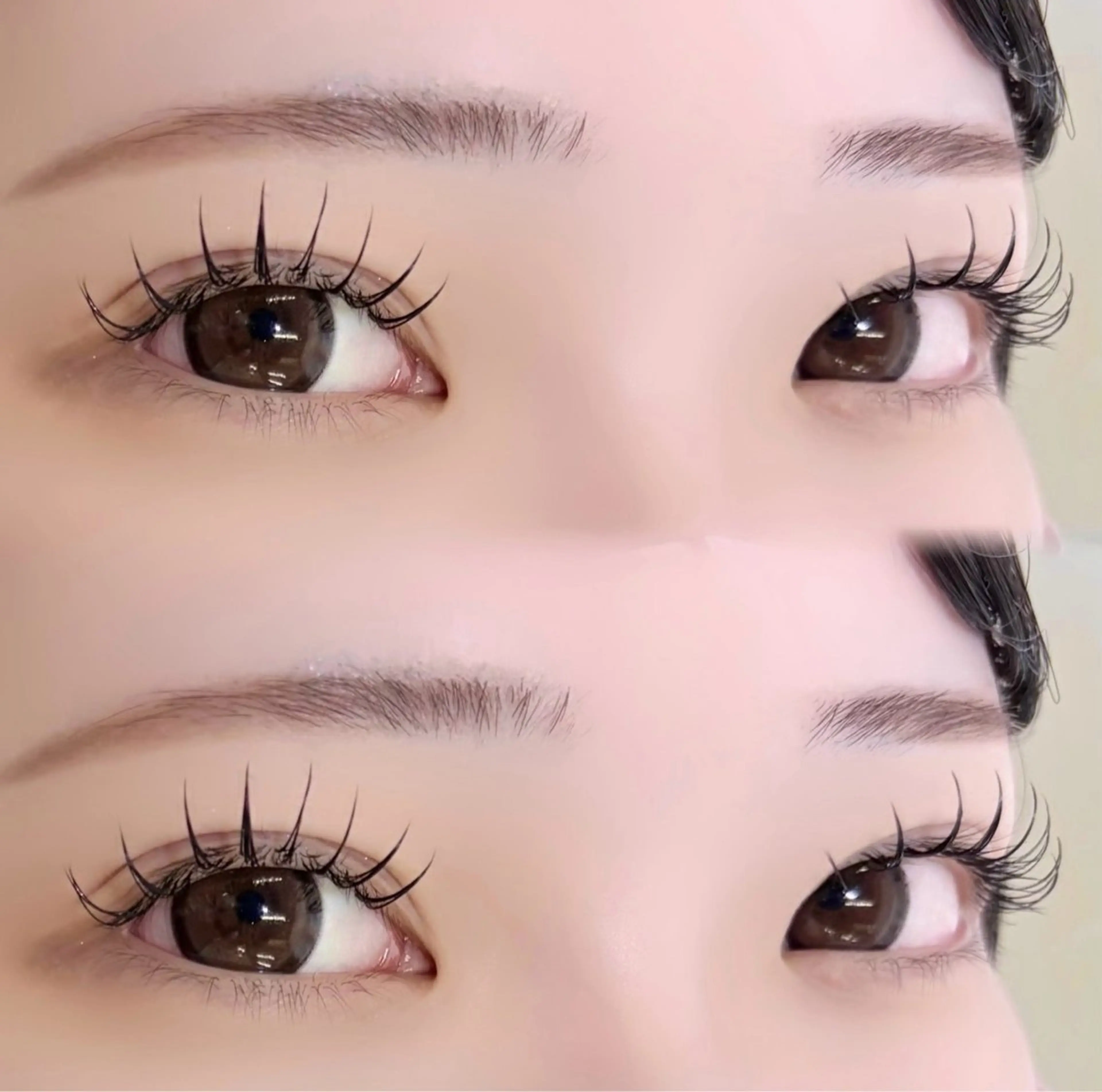 限定‪‪❤︎‬まつげエクステ120本の写真