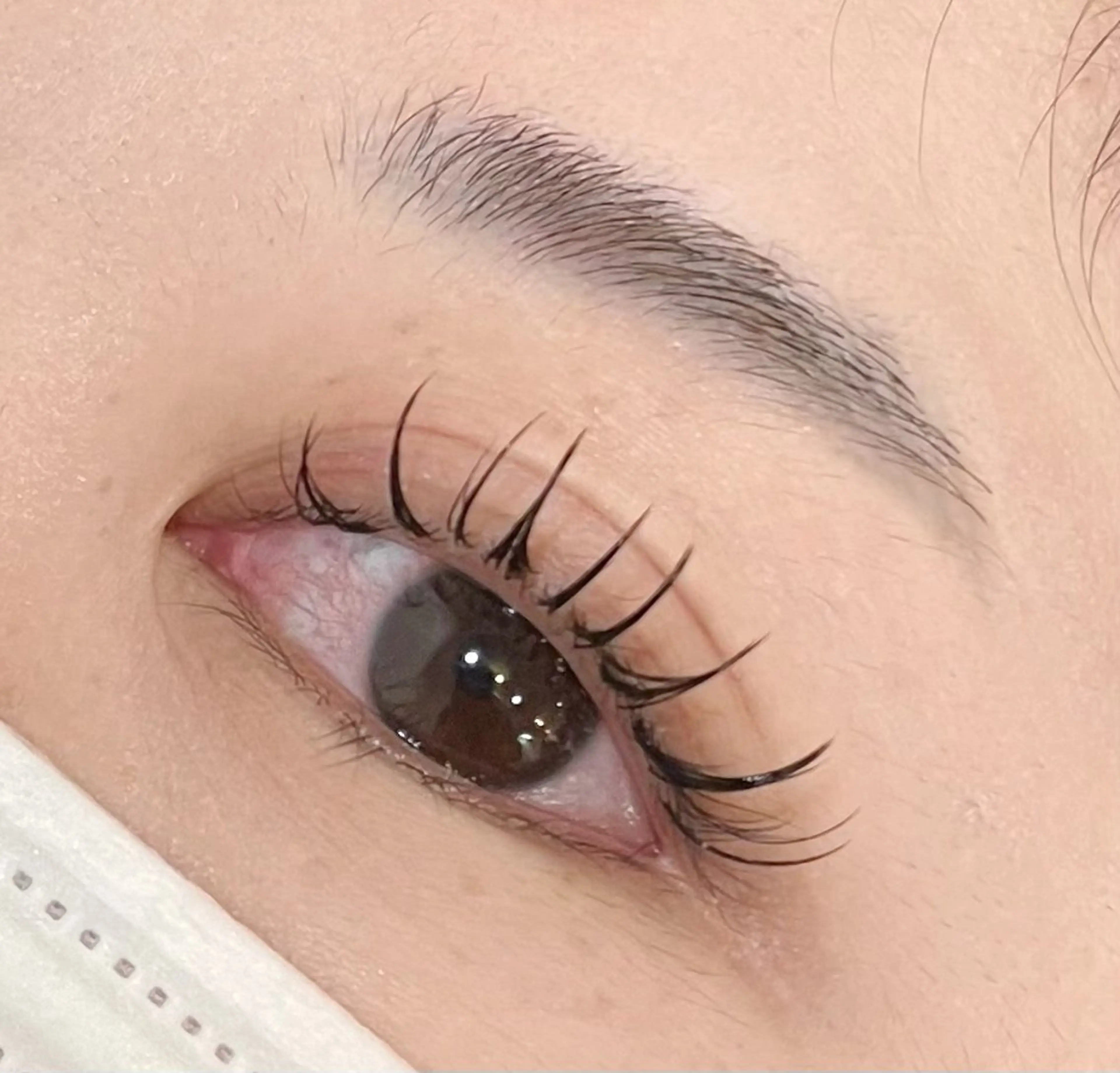 マツエク・マツパ 👑EYELA 柏／ 川村👑のマツエク・マツパデザイン