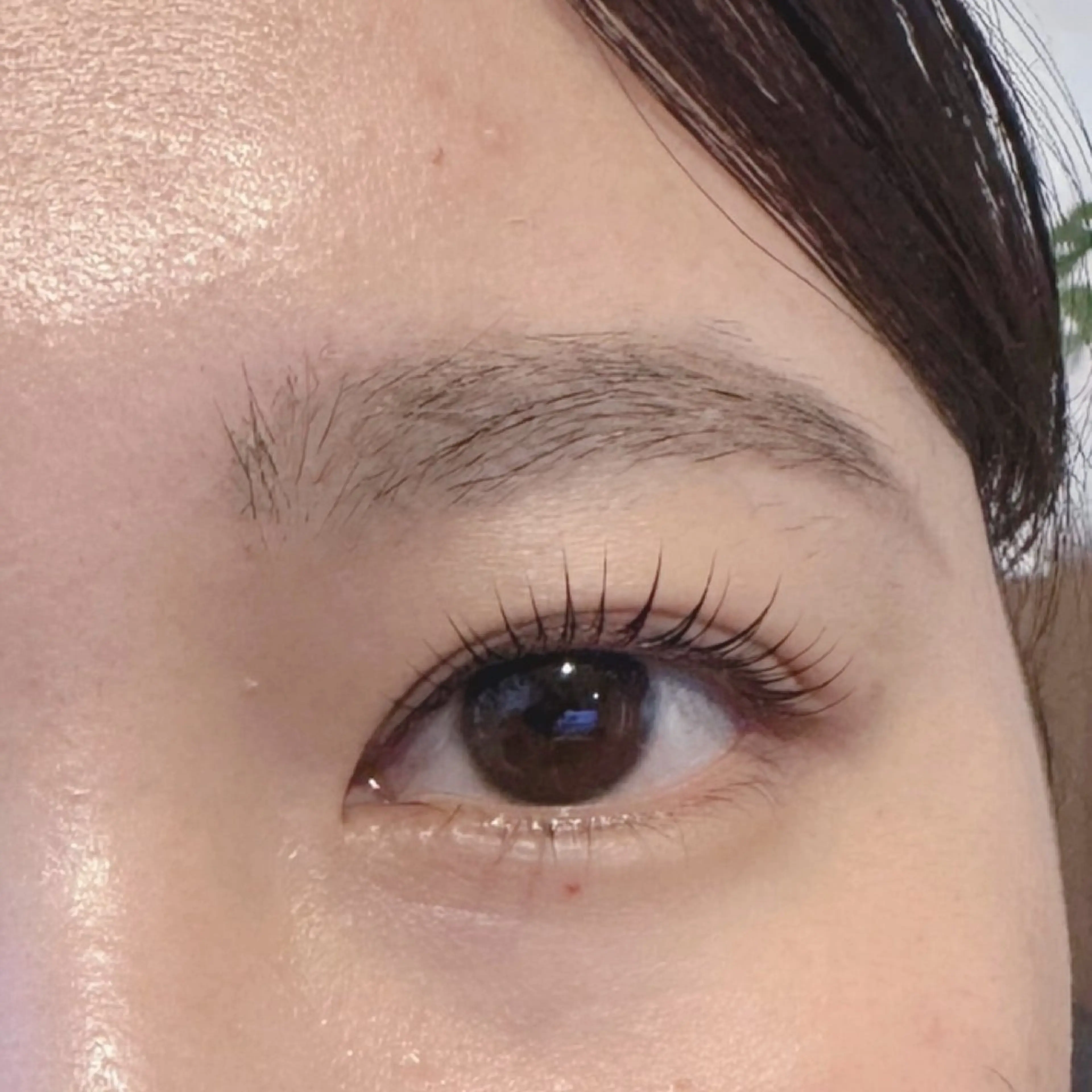 マツエク・マツパ 《HUG LIFE》 さいとうのマツエク・マツパデザイン