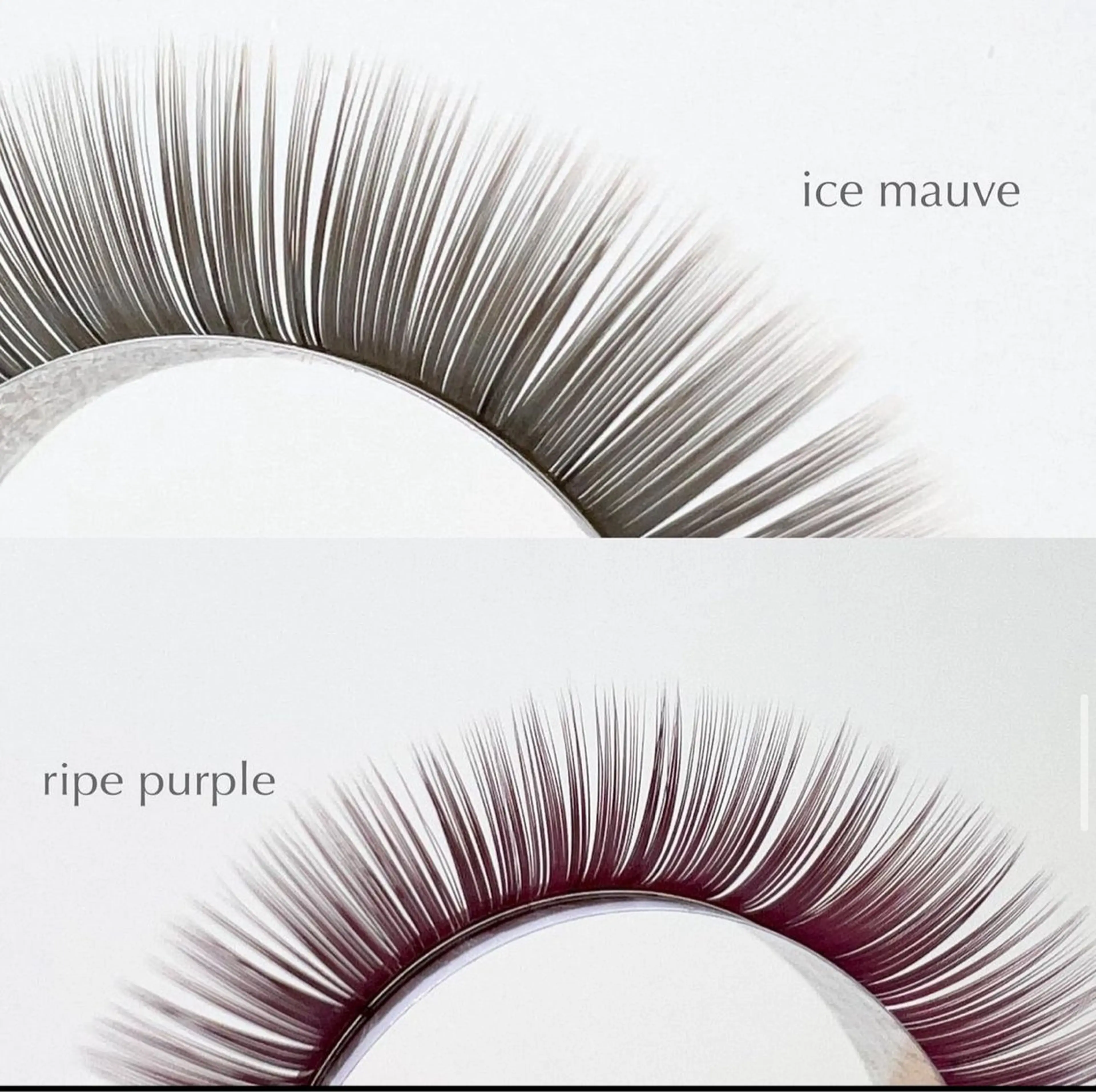 マツエク・マツパ フラットラッシュ Angelic Reina ♥🧸のマツエク・マツパデザイン