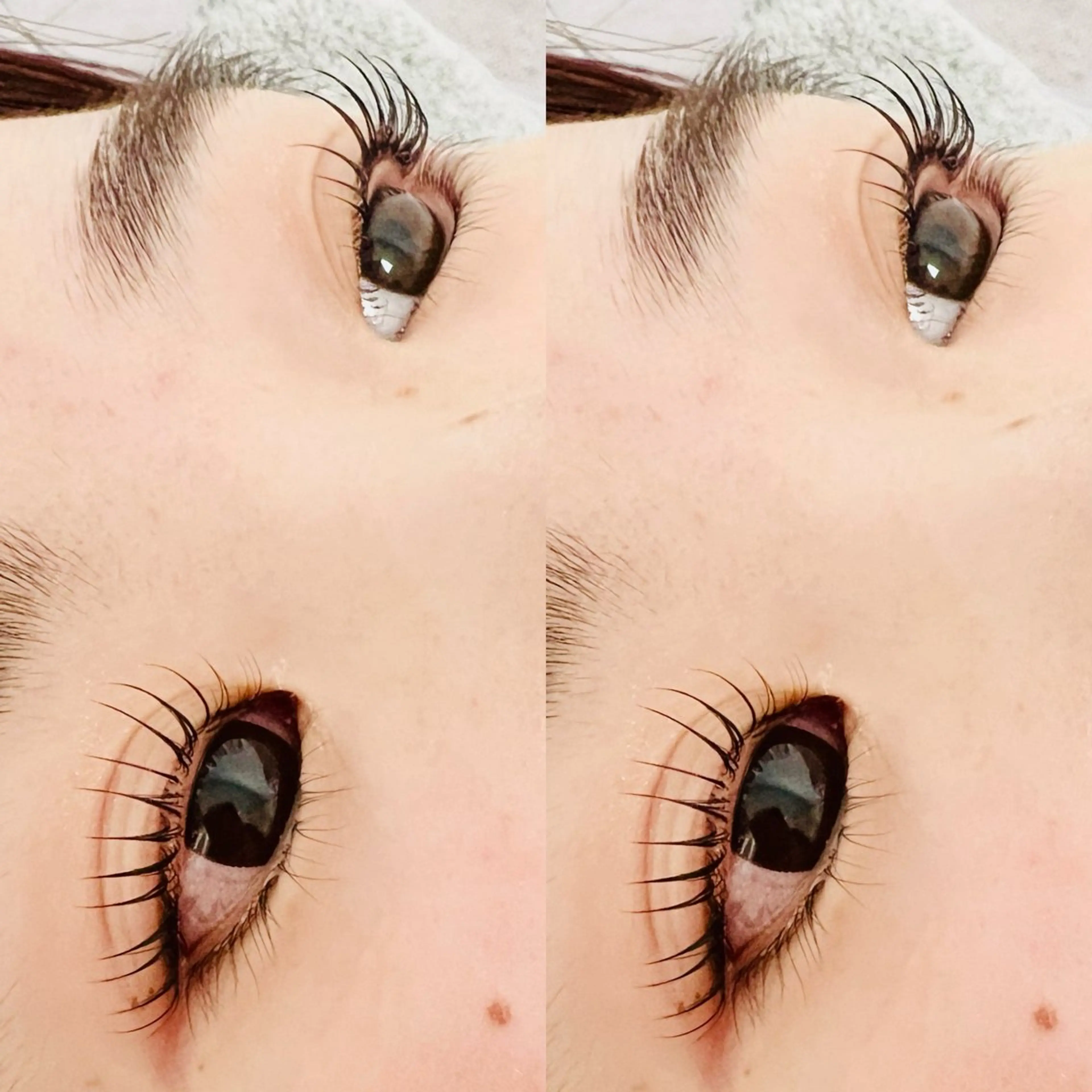 マツエク・マツパ ETOWA manaのマツエク・マツパデザイン