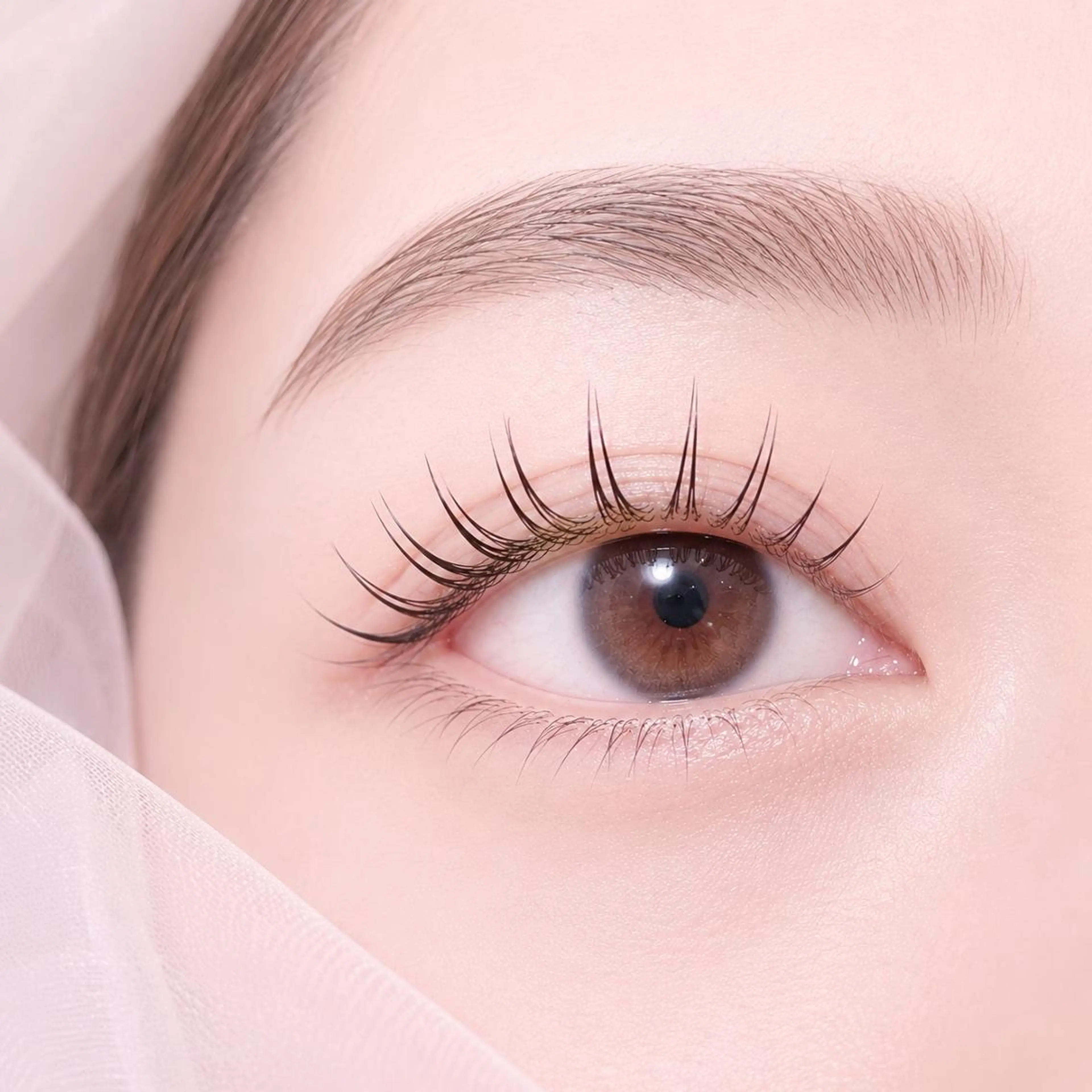 リピート率No.1・眉毛アイブロウ(ワックス脱毛、眉カット) 💞の写真
