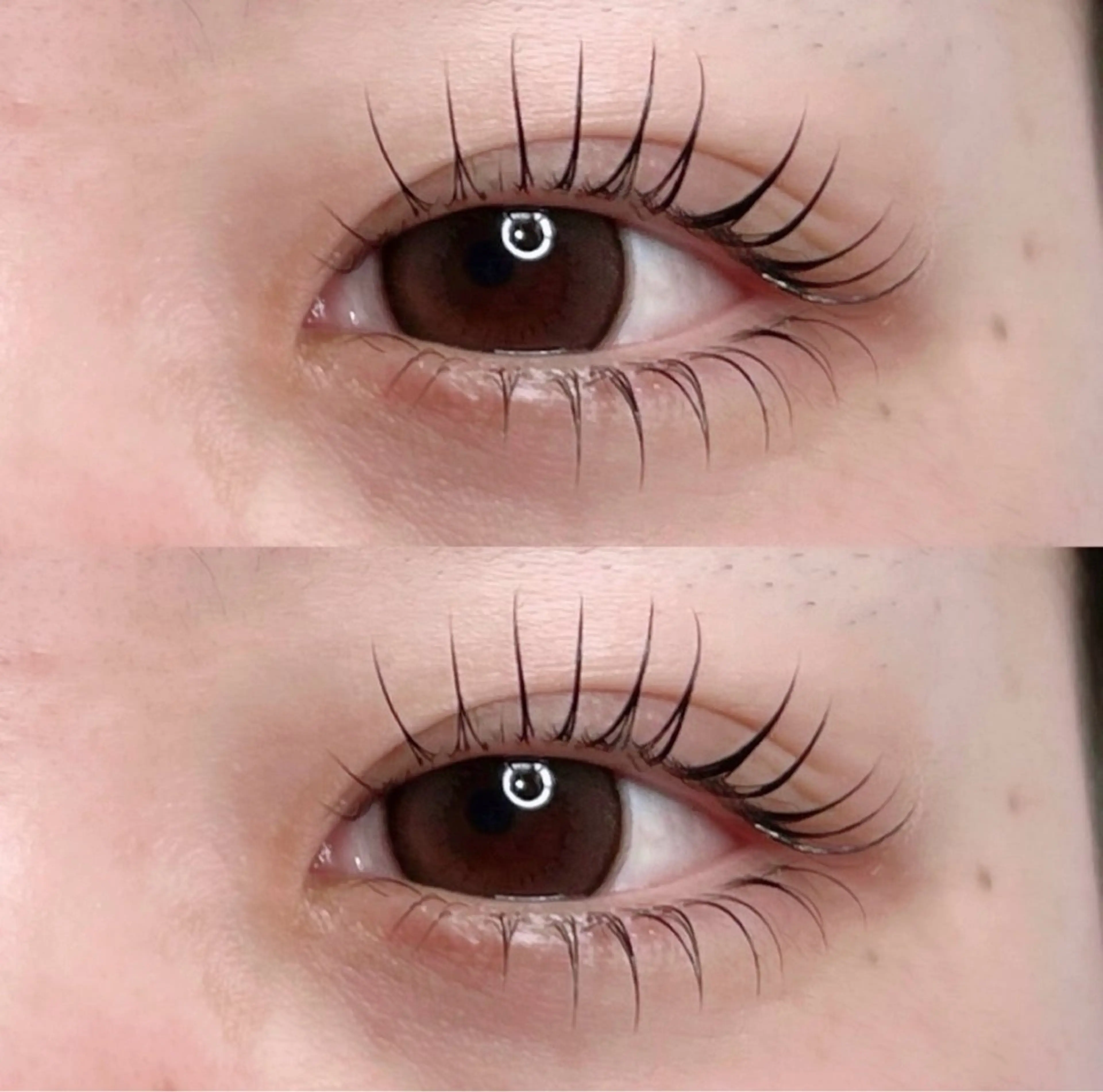 上下まつ毛パーマ‪ ¥7,450の写真