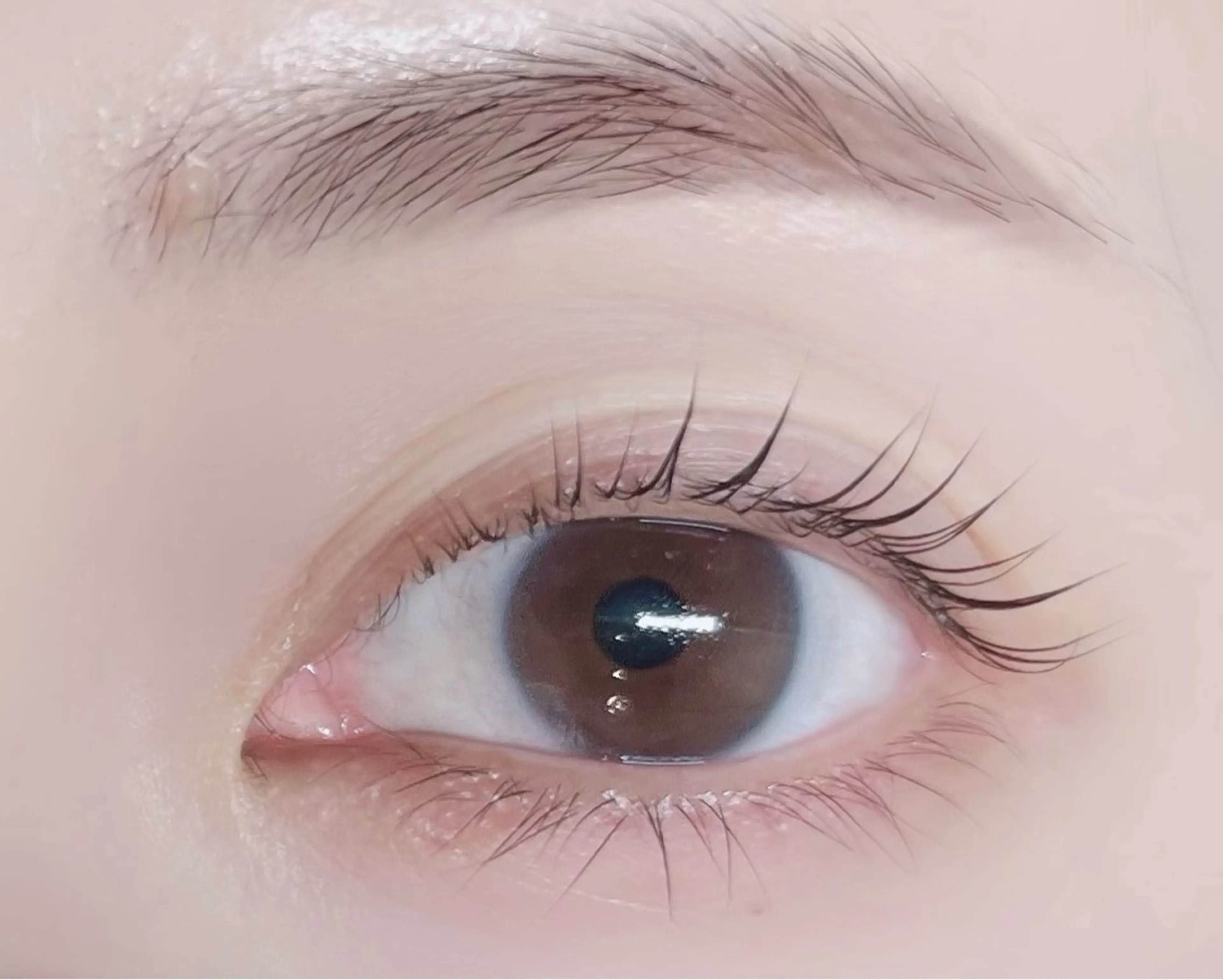 🤍当日予約限定🤍上まつげパーマ🌸コーティング付きの写真