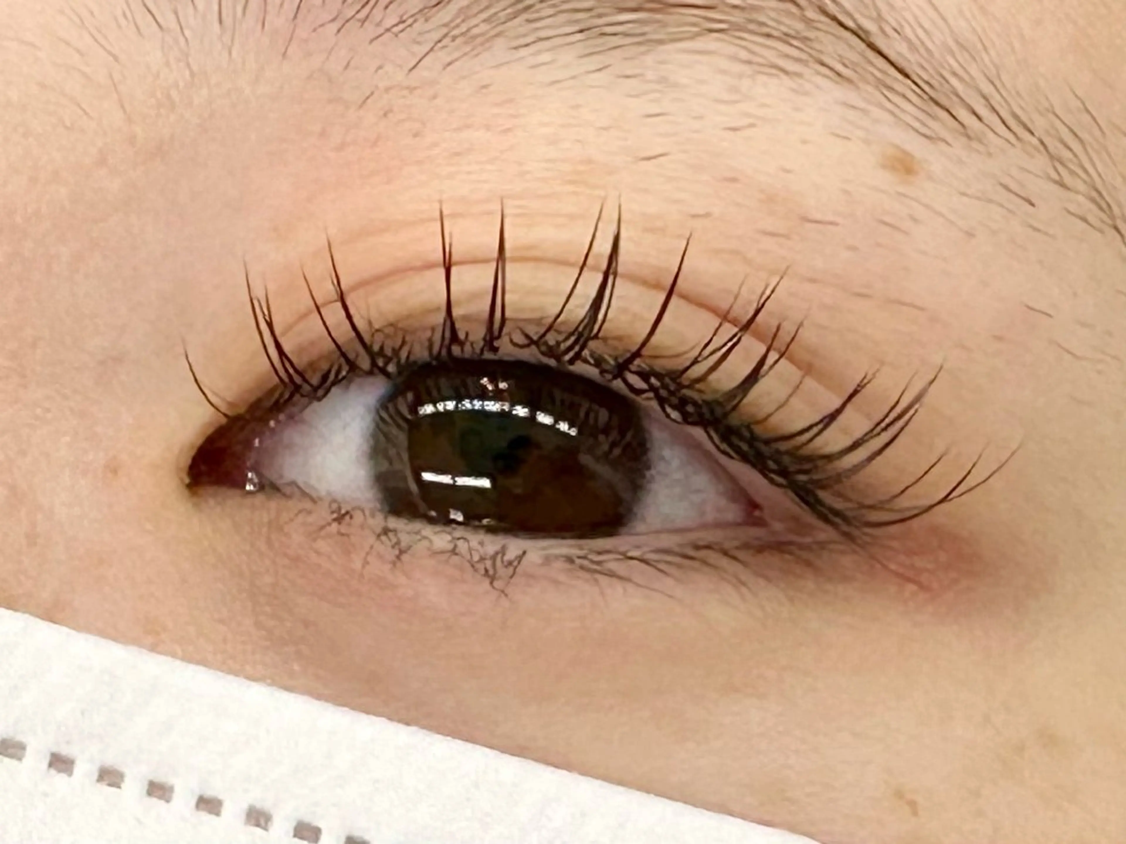 【ご新規様】フラットラッシュ100本(オフ込み)コーティング付の写真