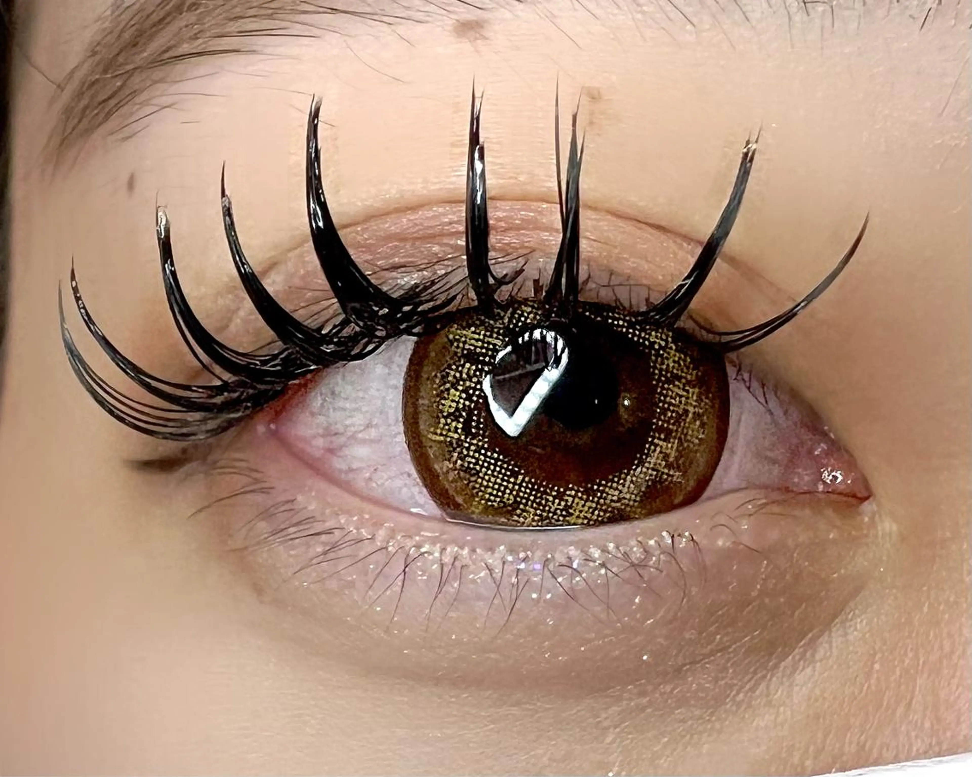 マツエク・マツパ 付け放題 バインドロック Celeste Venus所属・🧸Celeste Venusのマツエク・マツパデザイン