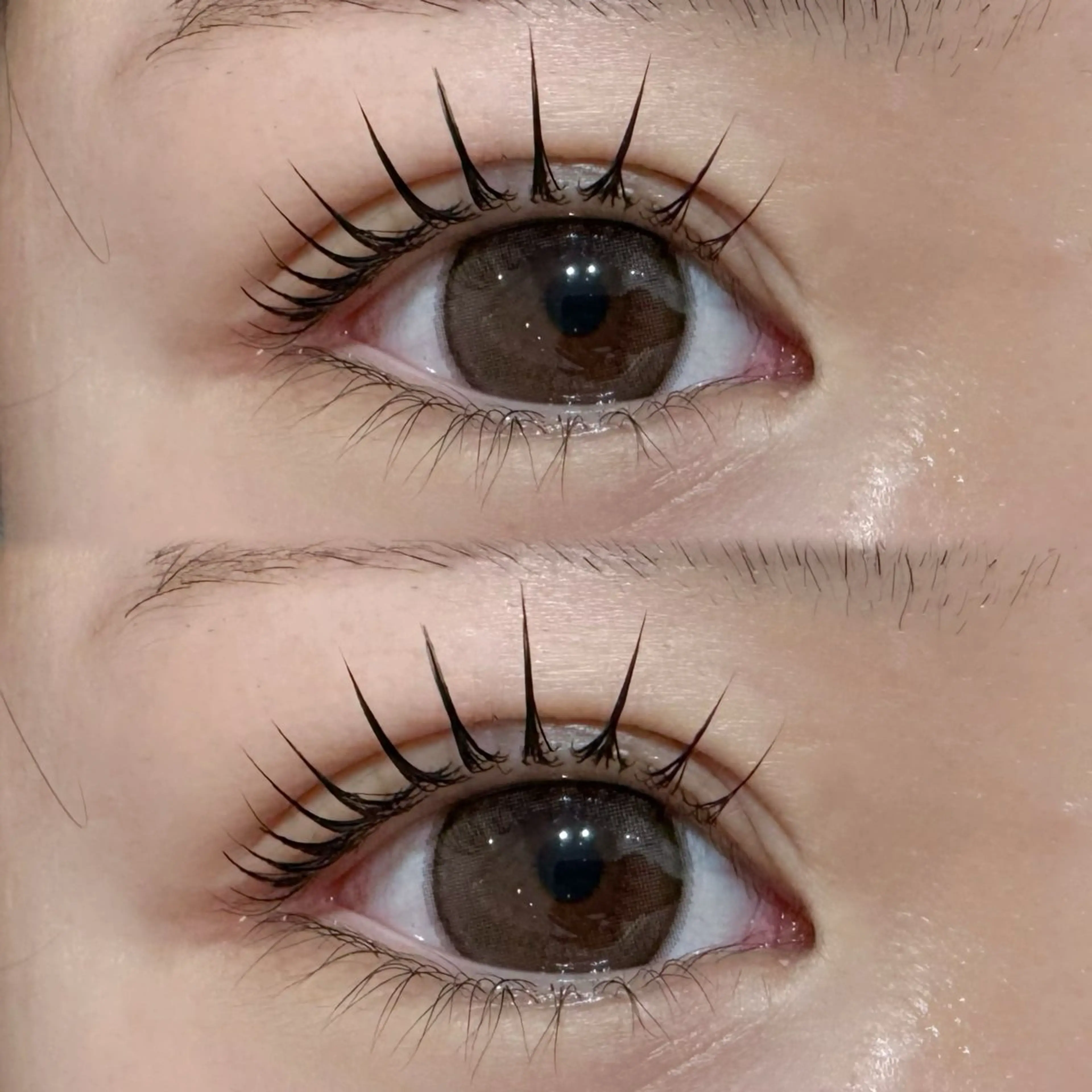 マツエク・マツパ マツパ Chaton KANAGAWAのマツエク・マツパデザイン