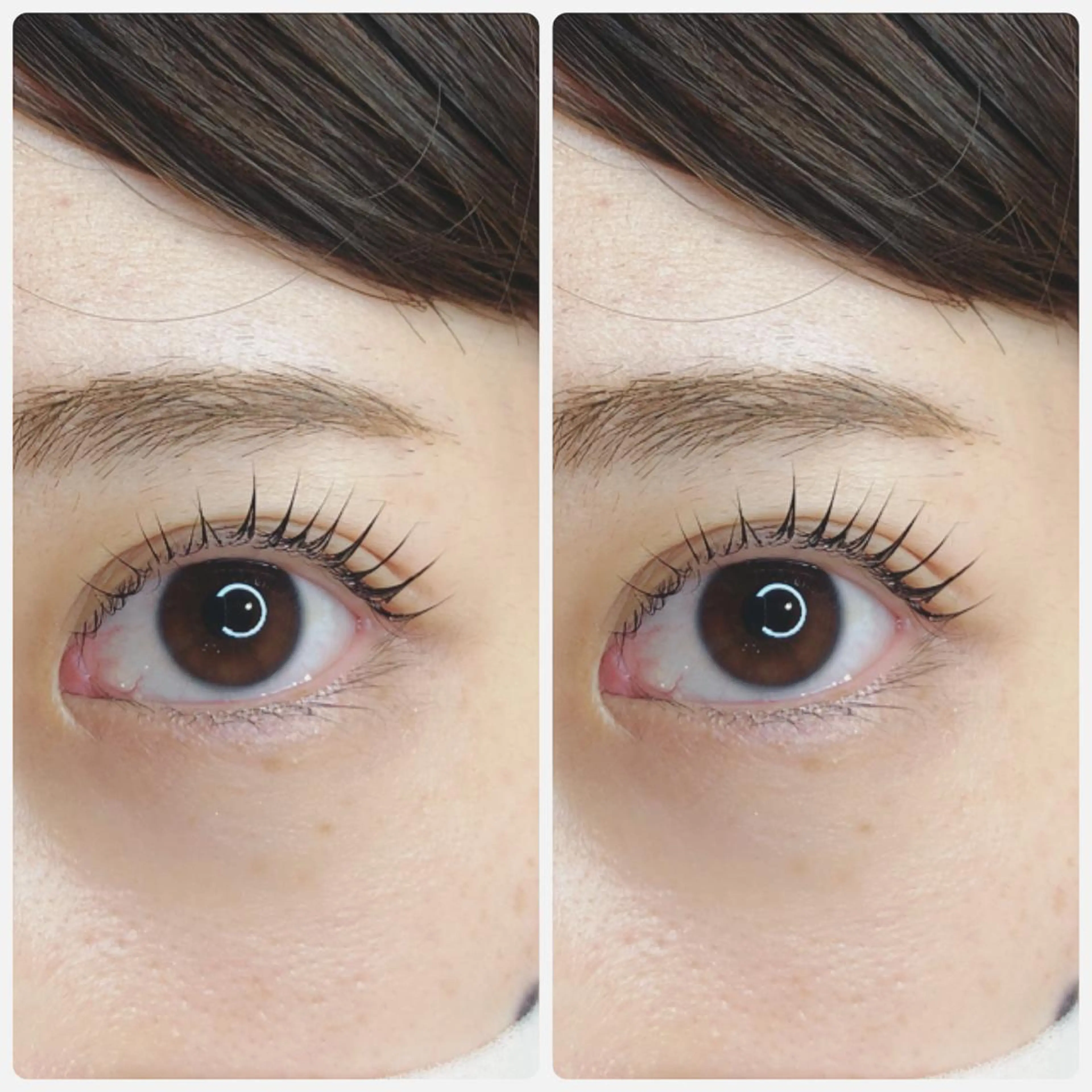 マツエク・マツパ ケラチンラッシュリフト RoseLash【青山一丁目徒歩1分】表参道所属・パリジェンヌ/まつパ RoseLashのネイルデザイン