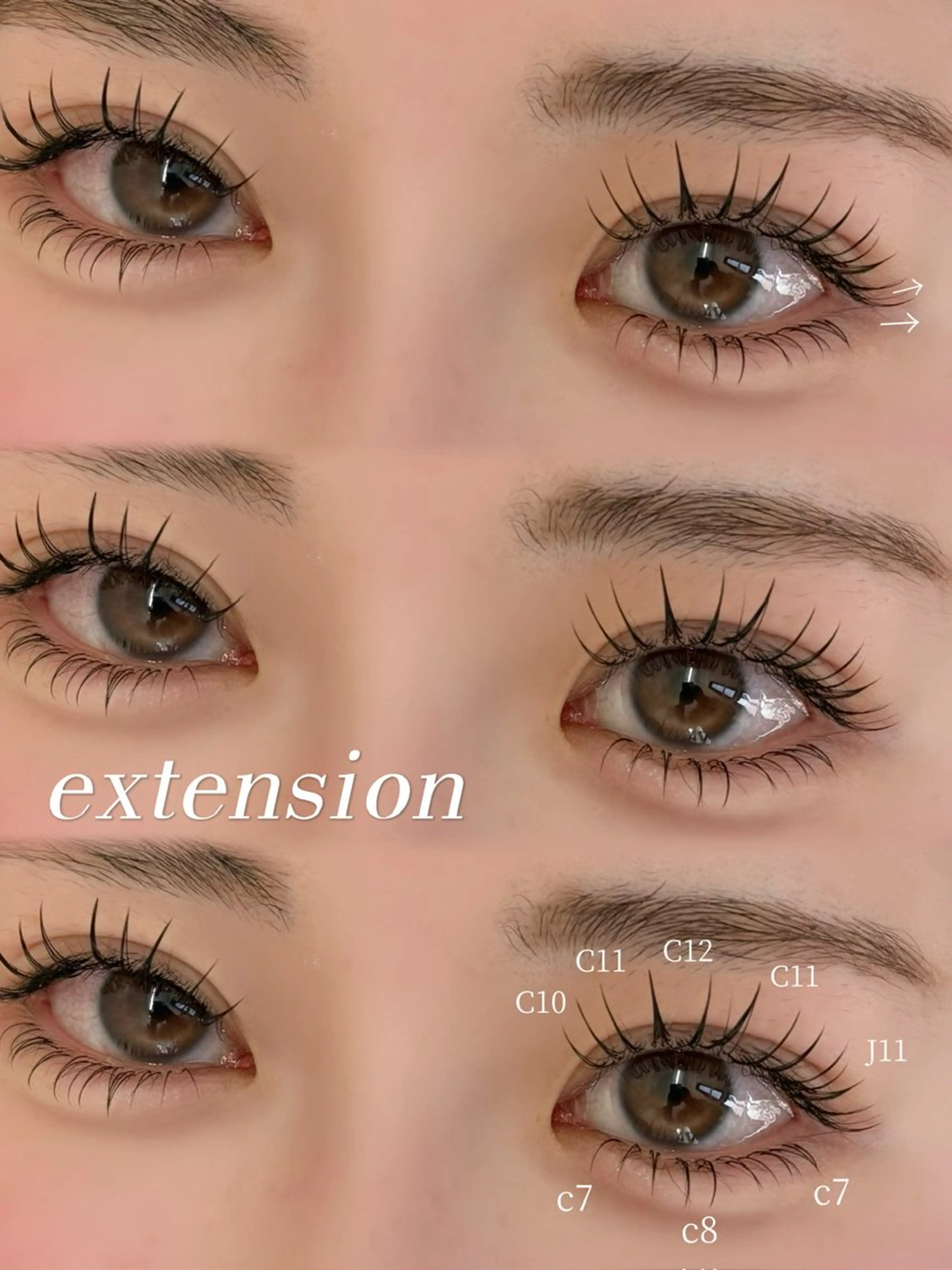 上下フラットラッシュ　【120本】【40本】の写真