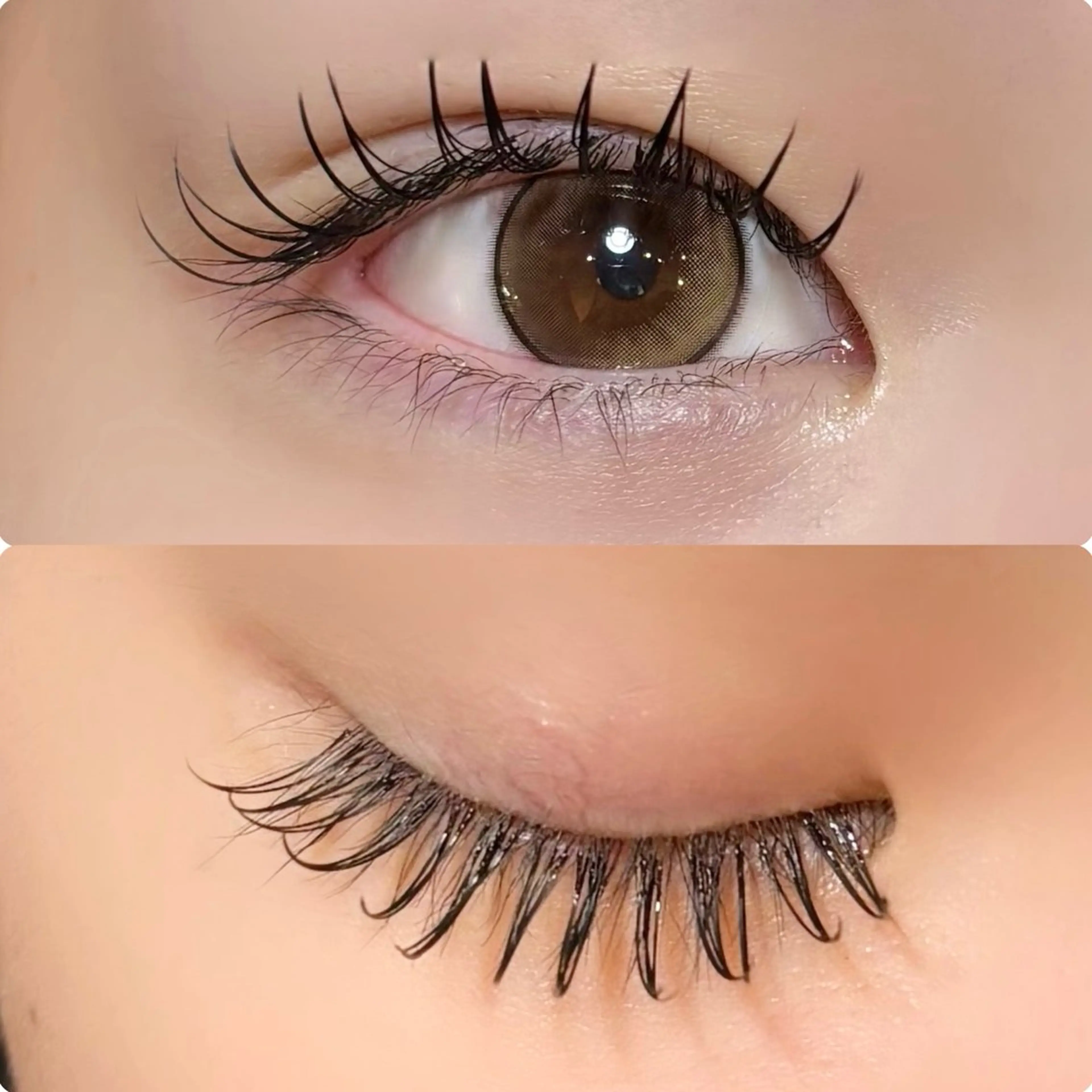 マツエク・マツパ マツエク meguru／マツパ ／マツエク／束感のマツエク・マツパデザイン