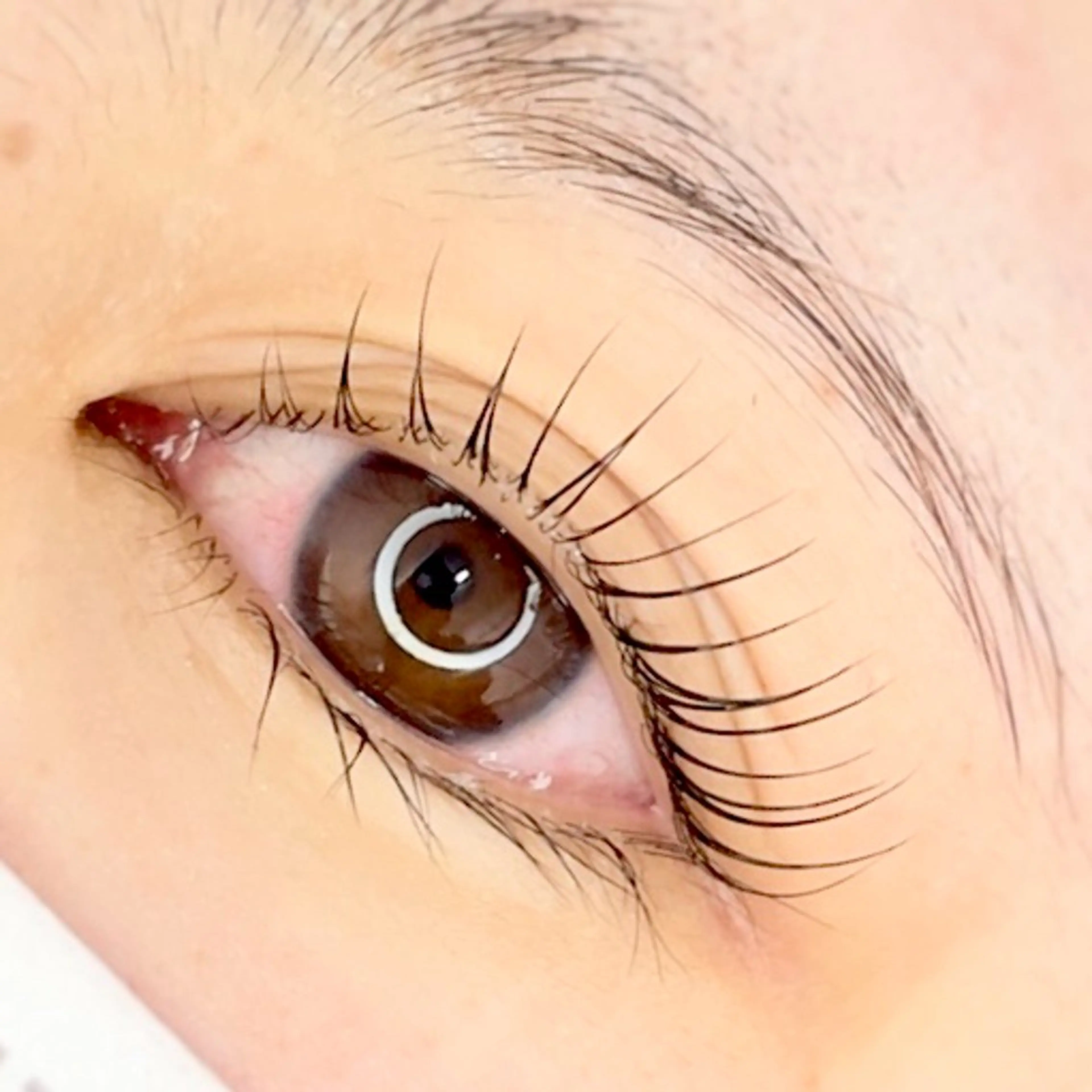 トリートメントまつ毛パーマの写真