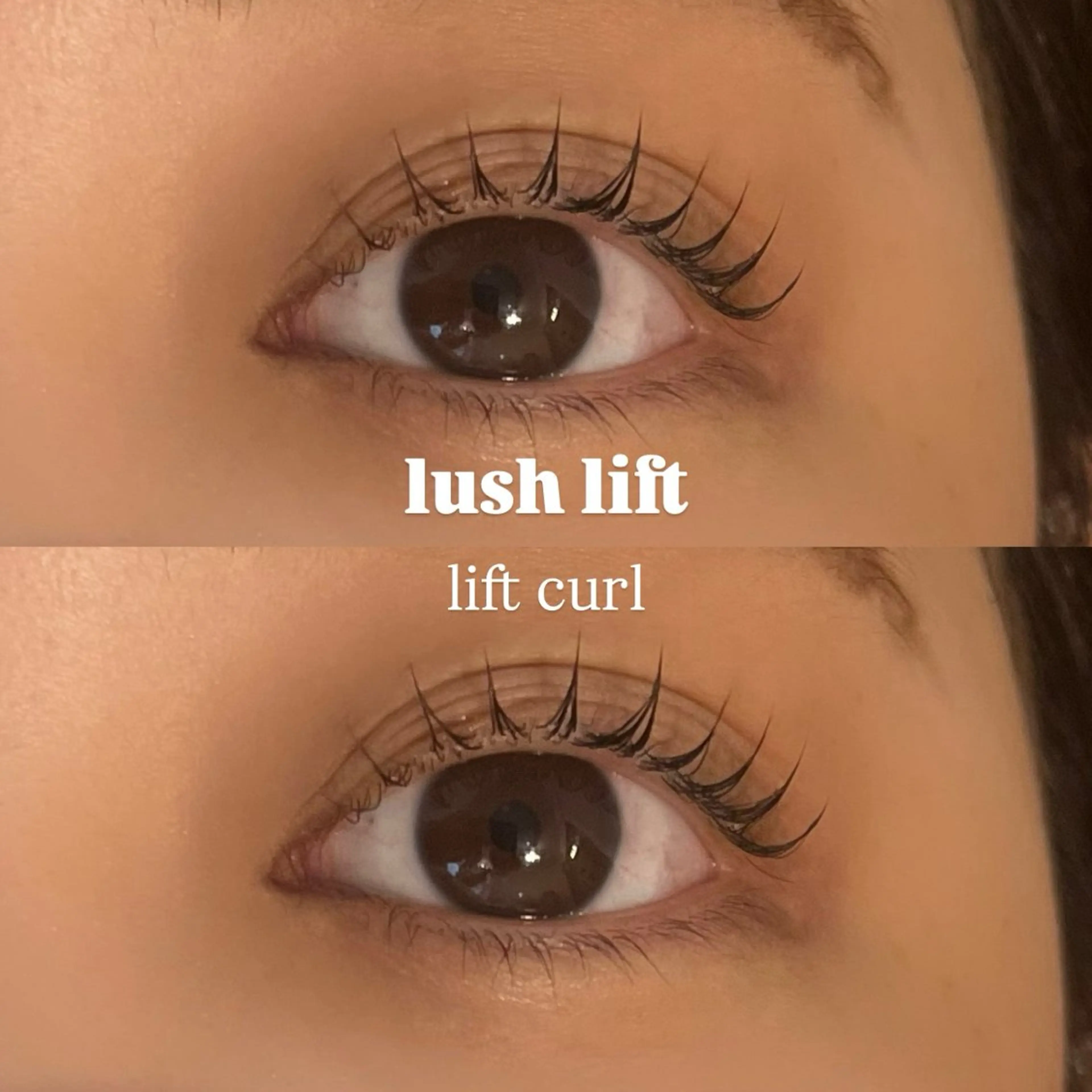 マツエク・マツパ 束感まつ毛 Cカール Lカール まつげパーマ マツパ 🌿ayaki🌿 en Reveのマツエク・マツパデザイン