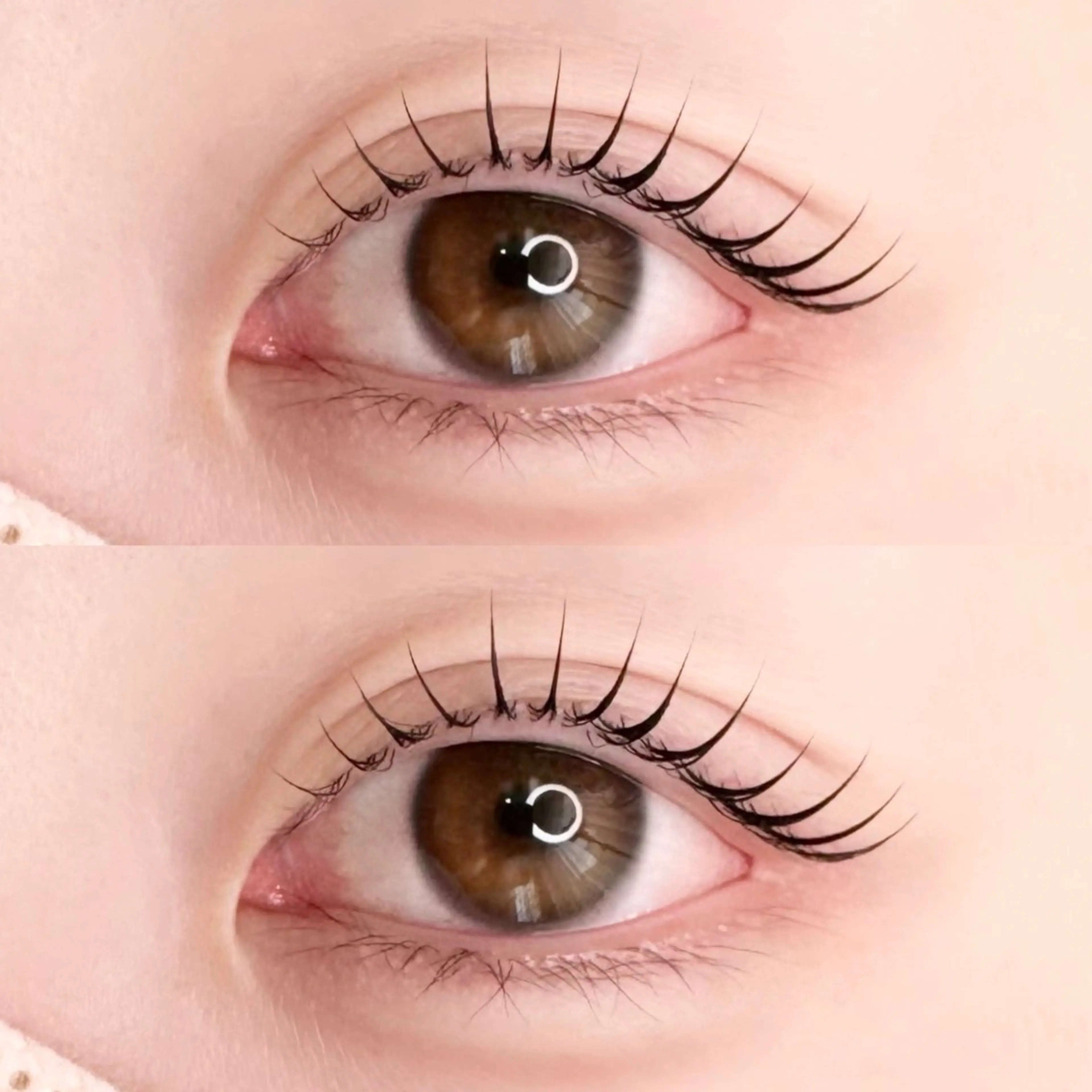 ラッシュリフト(まつ毛パーマ)🤍高濃度トリートメント付き&コーティング美容液仕上げの写真