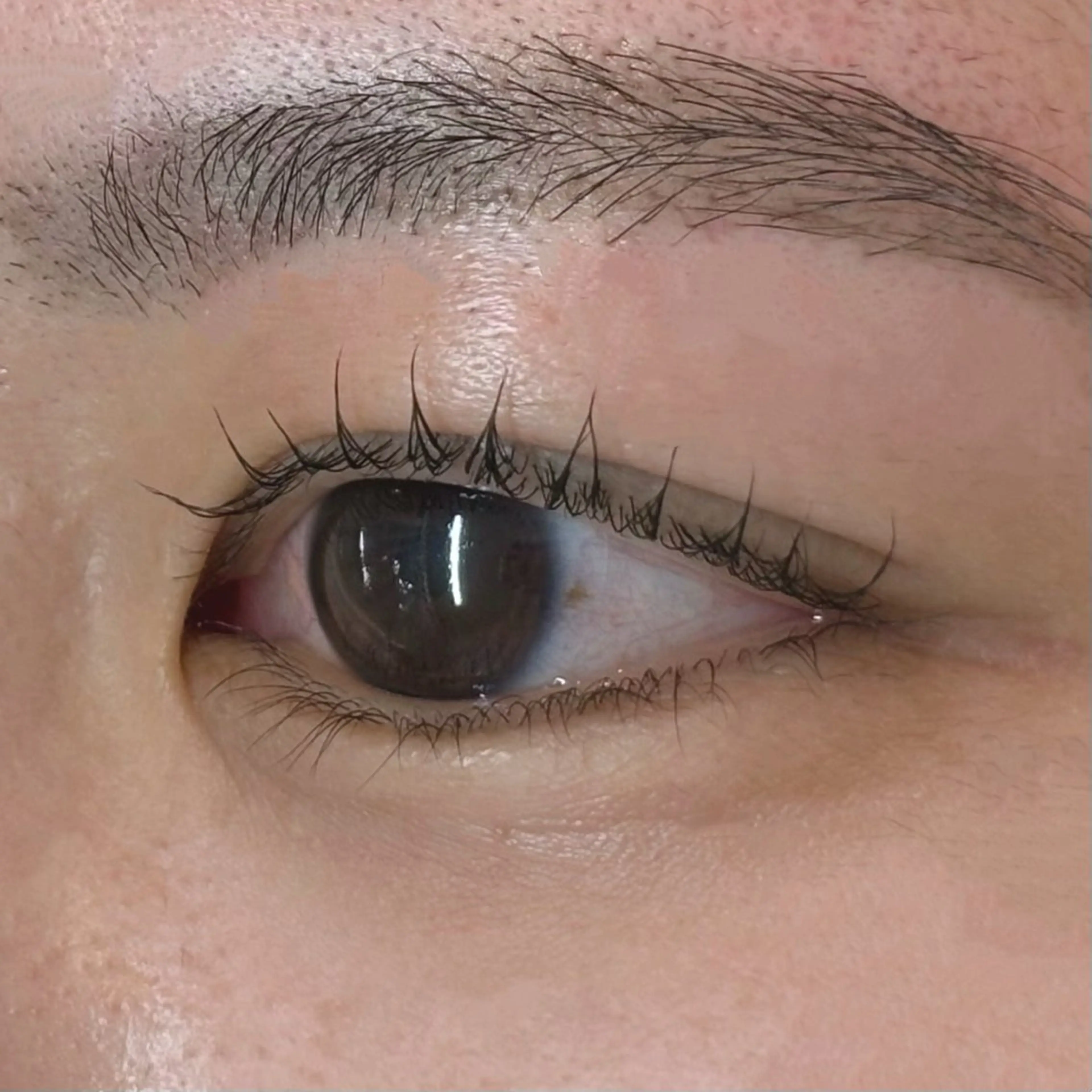 マツエク・マツパ MASAMI / 四条烏丸店のマツエク・マツパデザイン