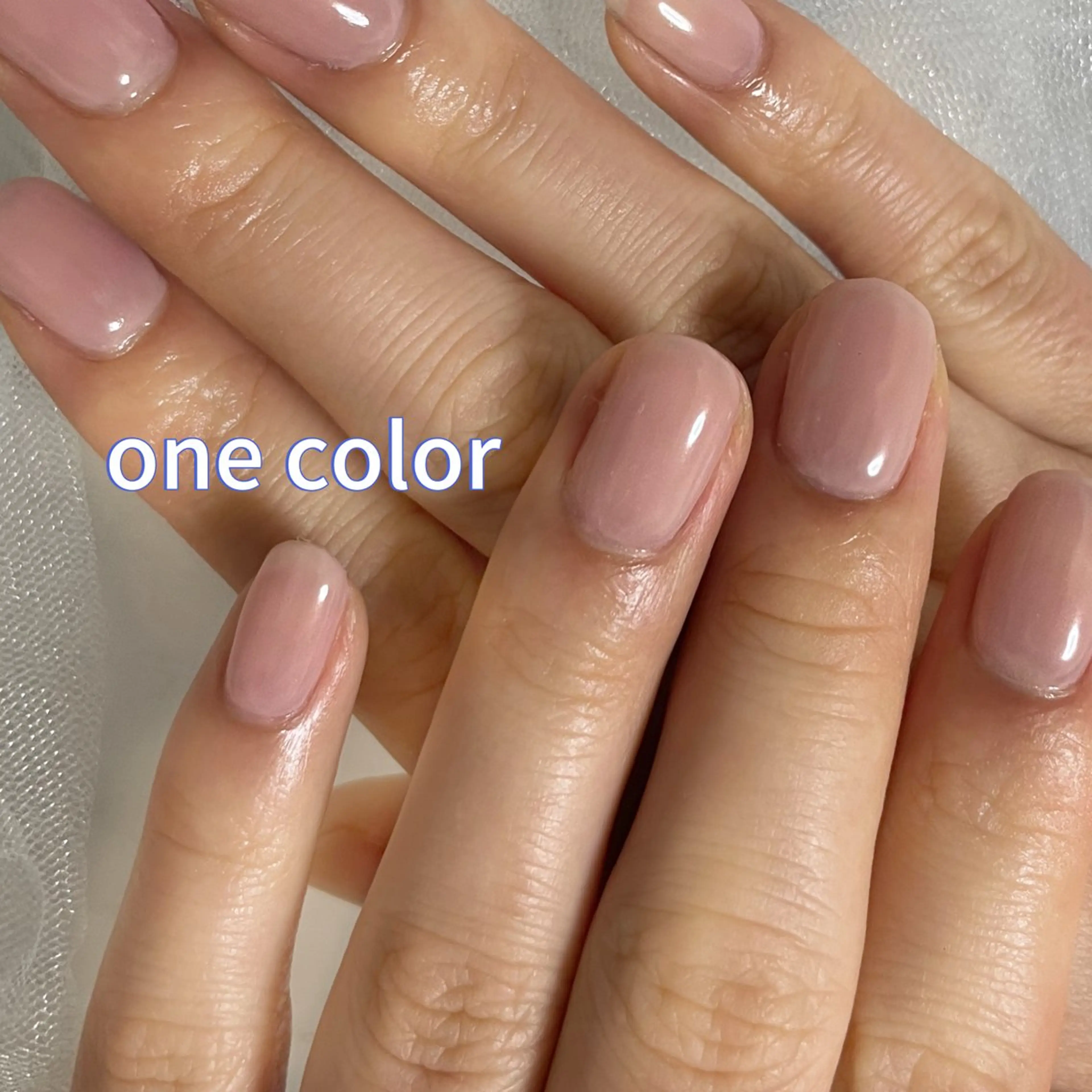 ワンカラー🌹の写真