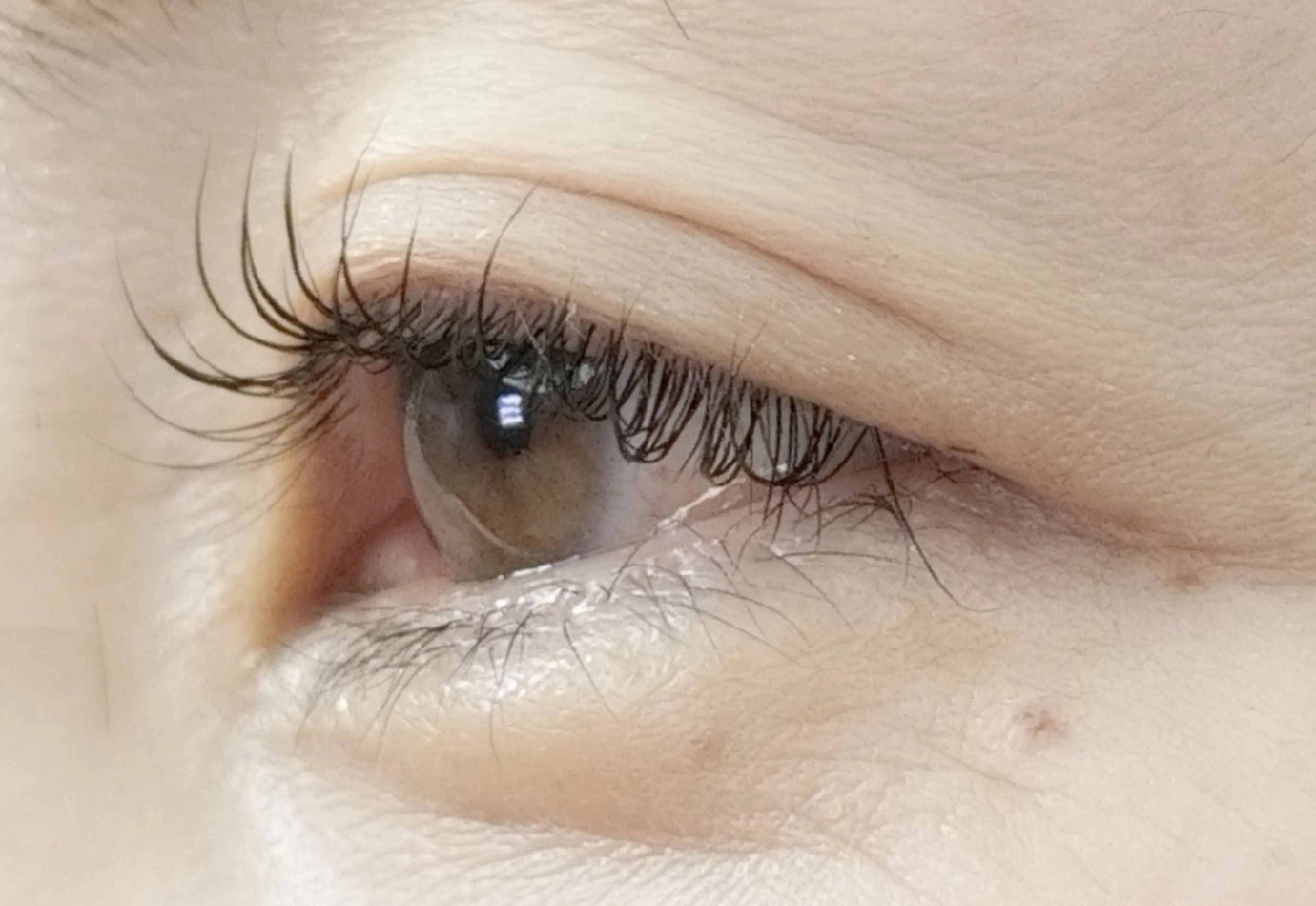 マツエク・マツパ arms lash 白井のマツエク・マツパデザイン